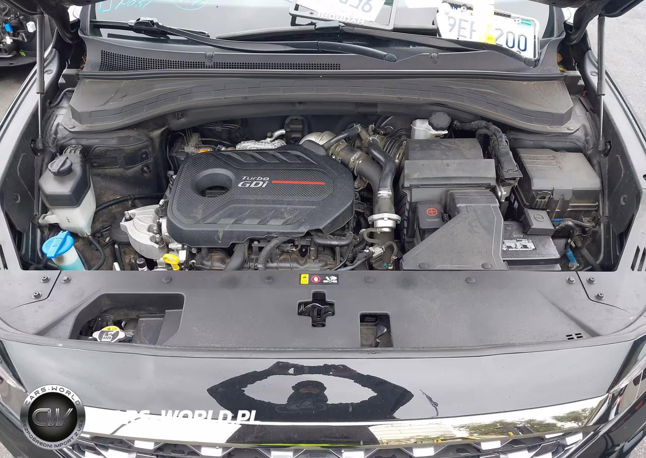 2020 Hyundai Santa Fe Limited 2.0T VIN:5NMS53AA1LH200294 - 10