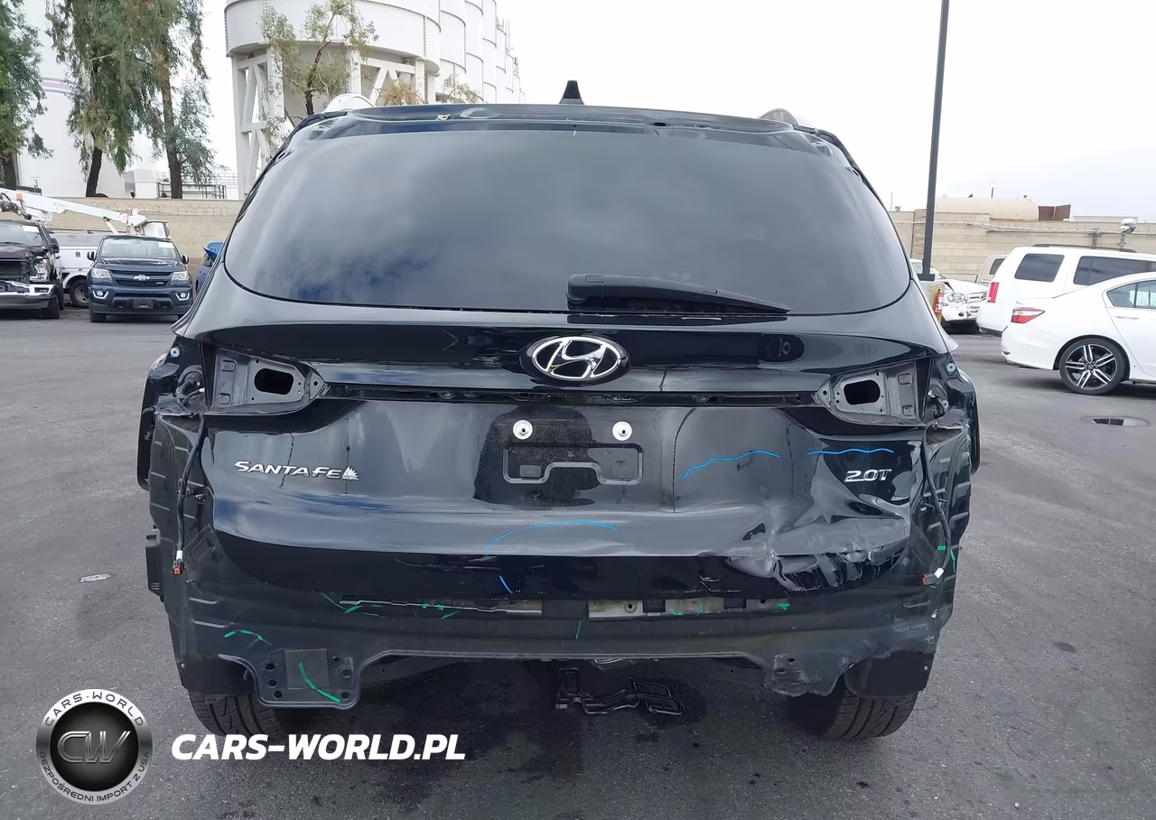2020 Hyundai Santa Fe Limited 2.0T VIN:5NMS53AA1LH200294 - 17