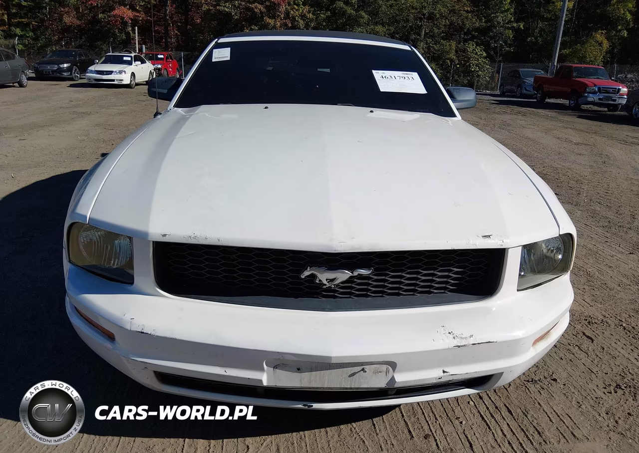 2005 Ford Mustang VIN:1ZVHT84N755231449 - 10