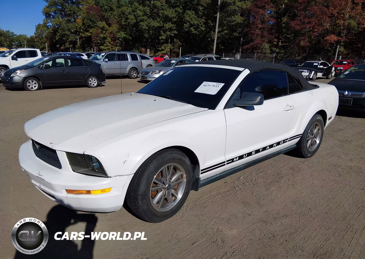 2005 Ford Mustang VIN:1ZVHT84N755231449 - 2