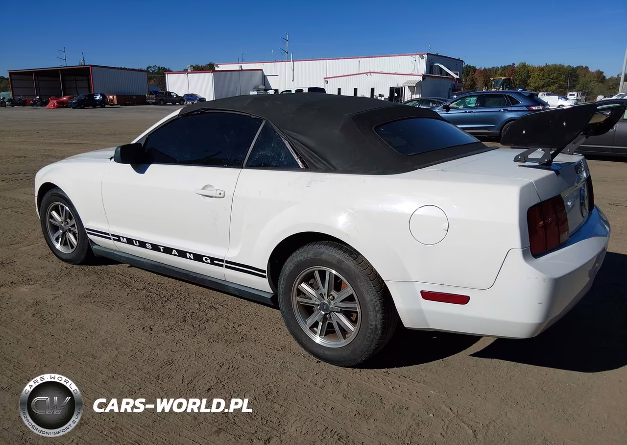 2005 Ford Mustang VIN:1ZVHT84N755231449 - 3