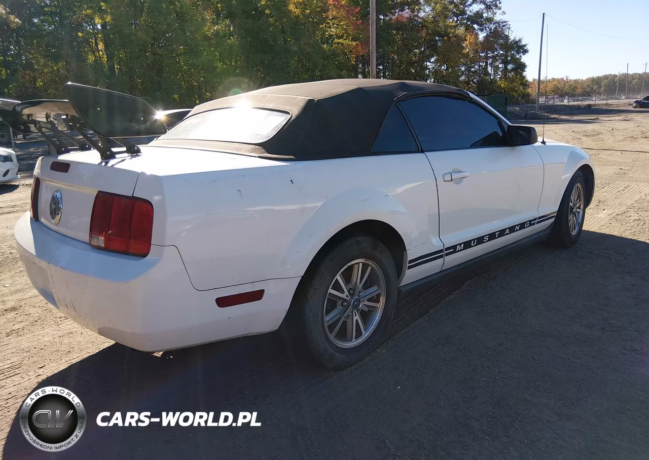 2005 Ford Mustang VIN:1ZVHT84N755231449 - 4