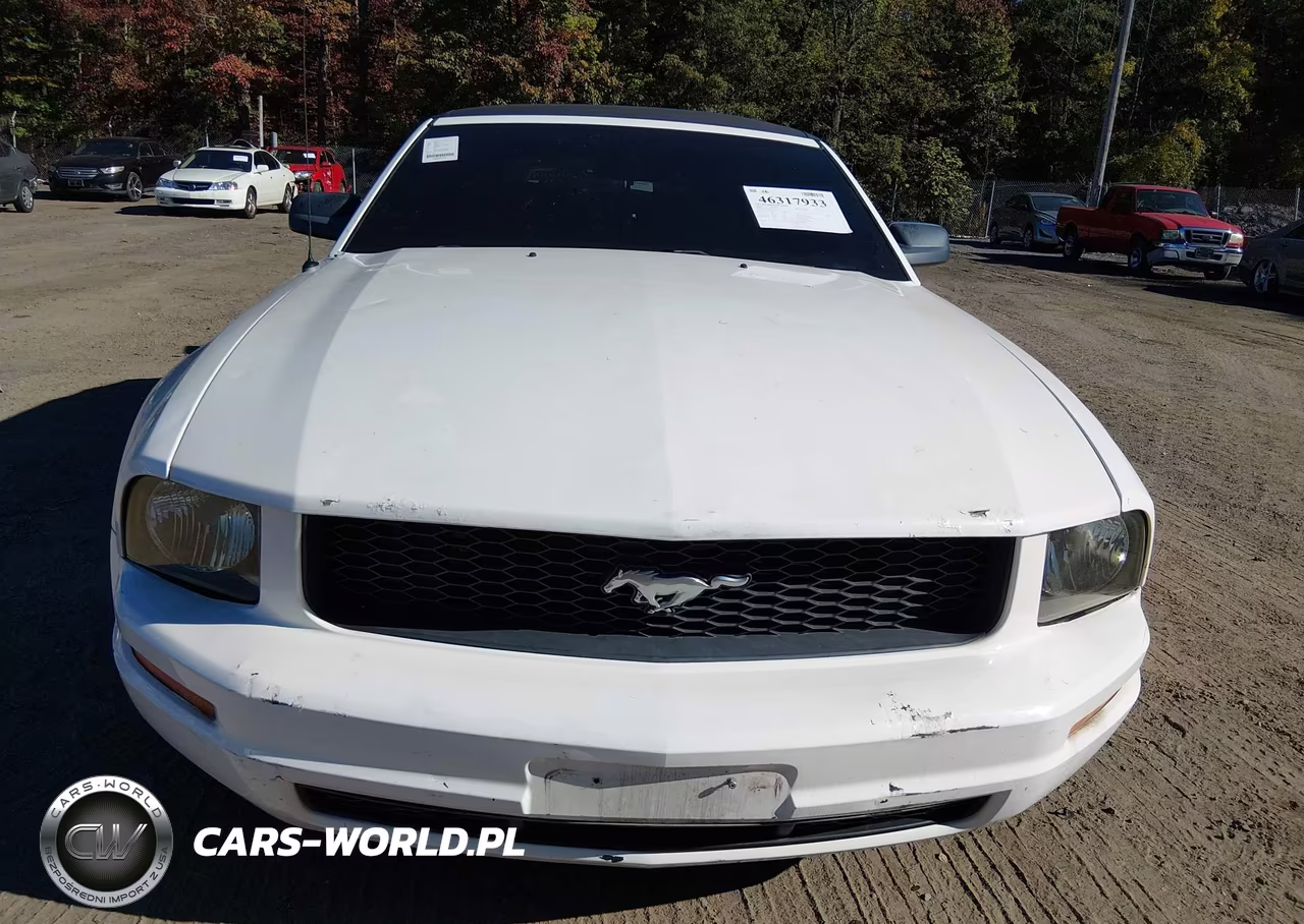 2005 Ford Mustang VIN:1ZVHT84N755231449 - 6