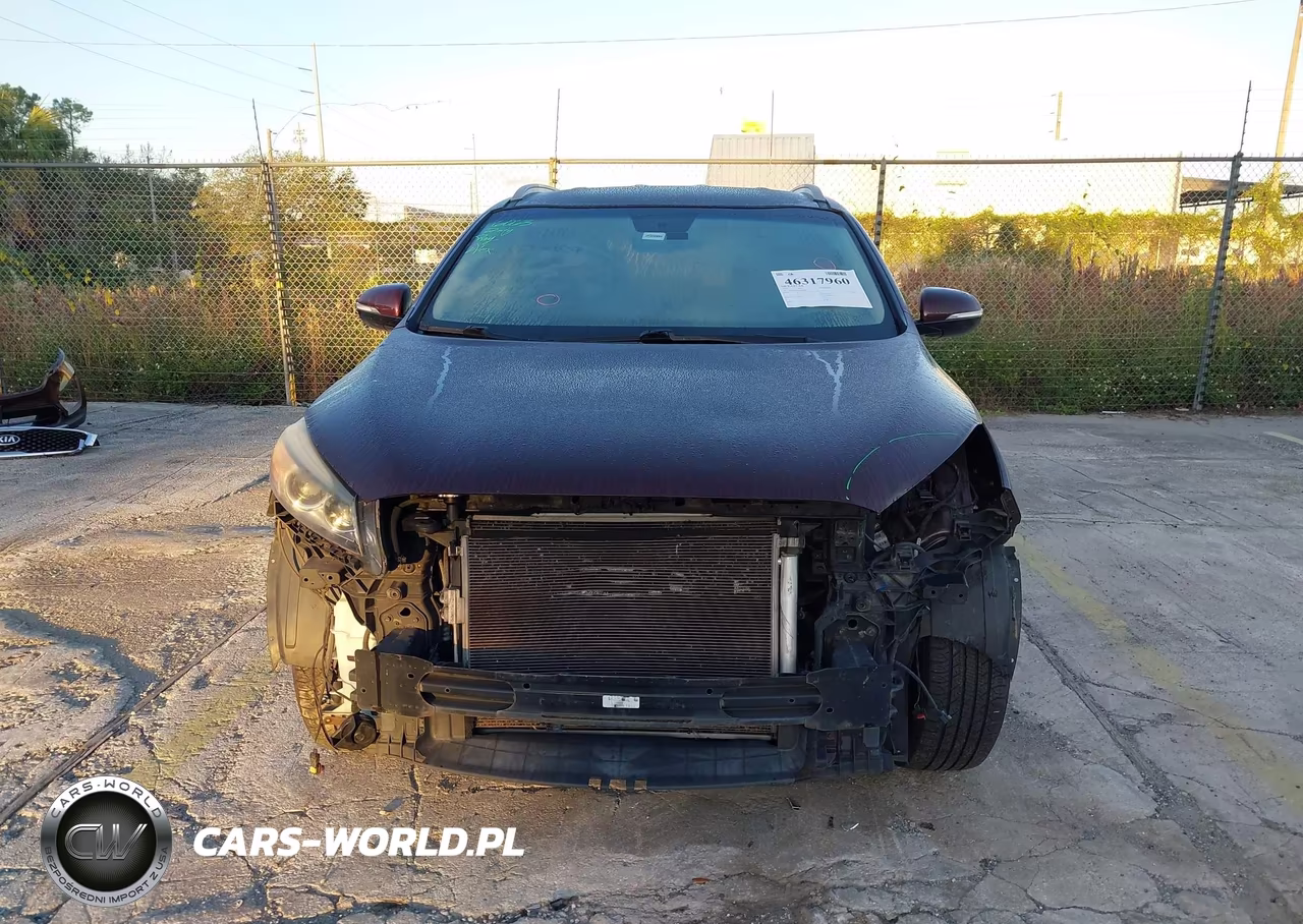 2016 Kia Sorento 3.3L Ex VIN:5XYPHDA50GG180853 - 13