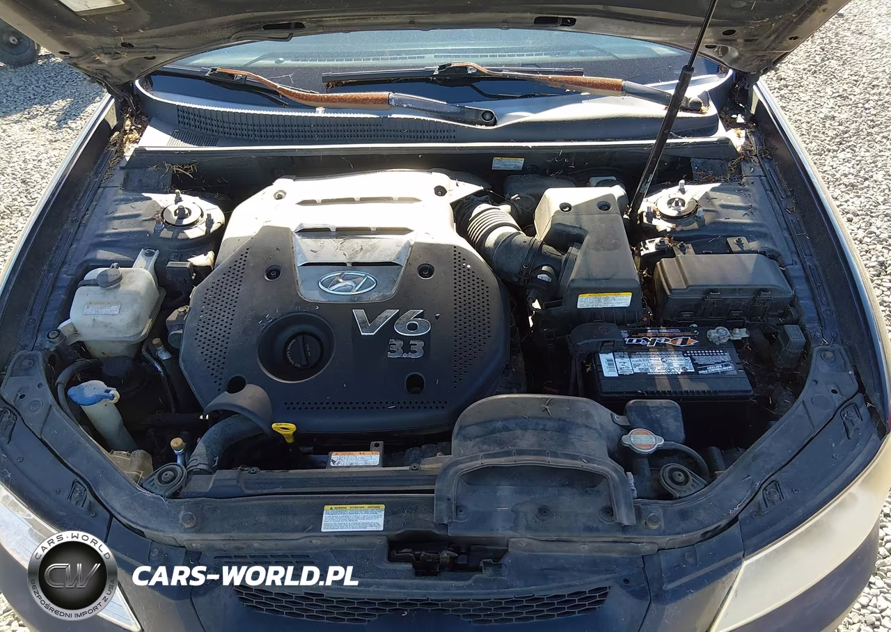 2007 Hyundai Sonata Limited-Se V6 VIN:5NPEU46F87H162761 - 10