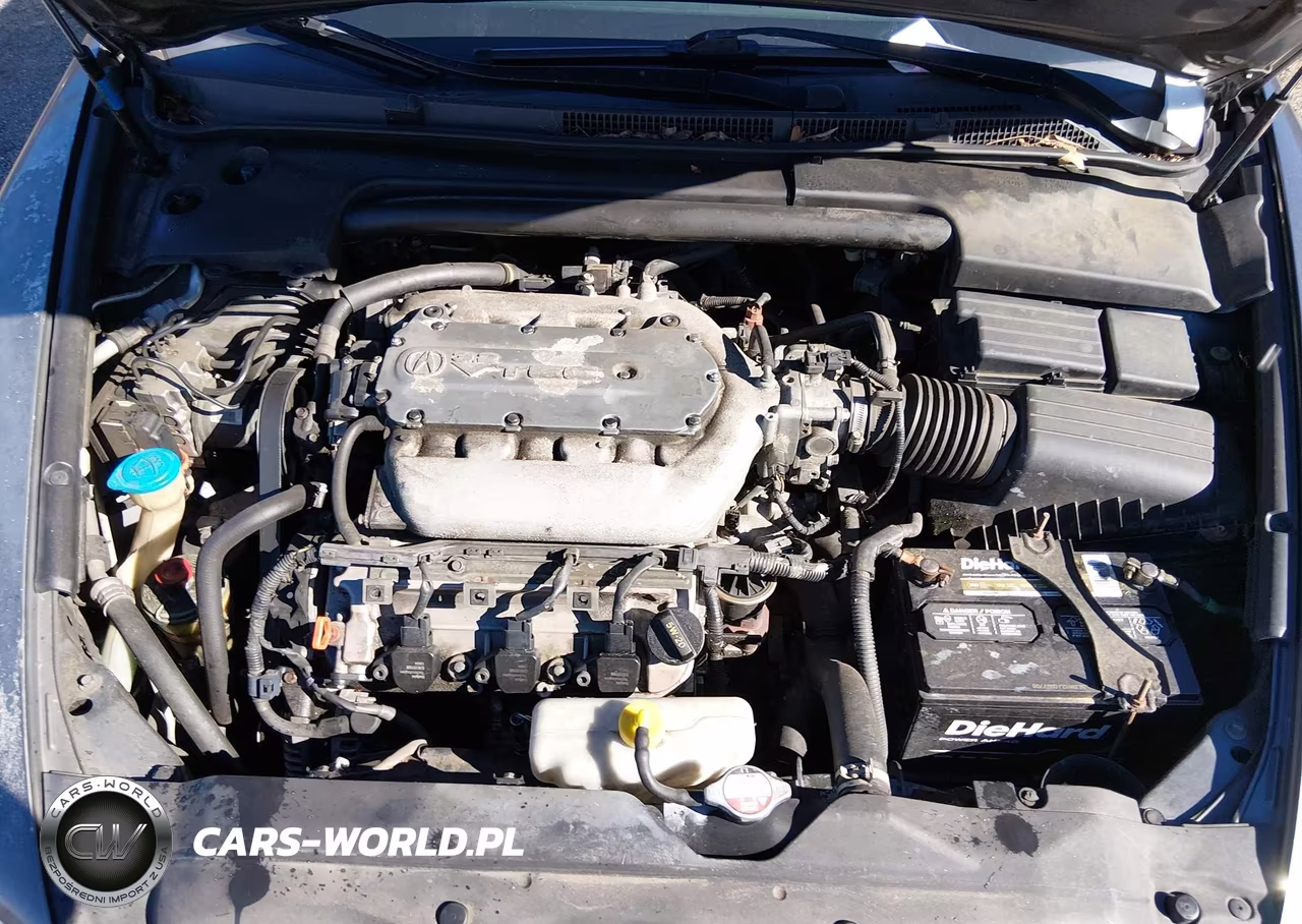 2004 Acura Tl VIN:19UUA66294A071953 - 10