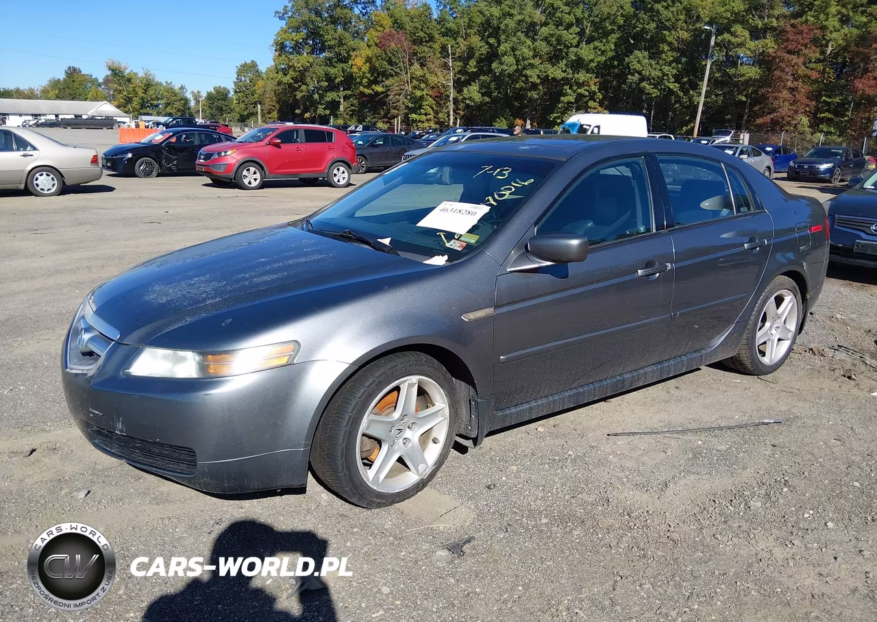 2004 Acura Tl VIN:19UUA66294A071953 - 2