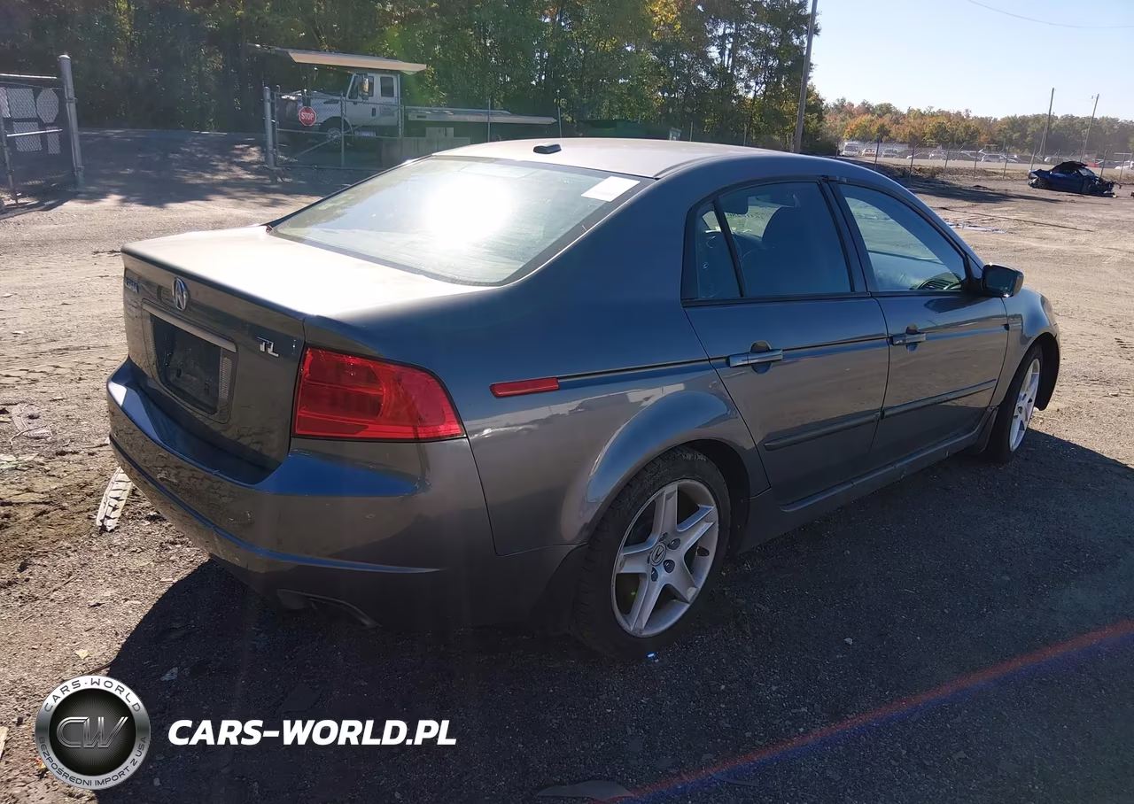 2004 Acura Tl VIN:19UUA66294A071953 - 4