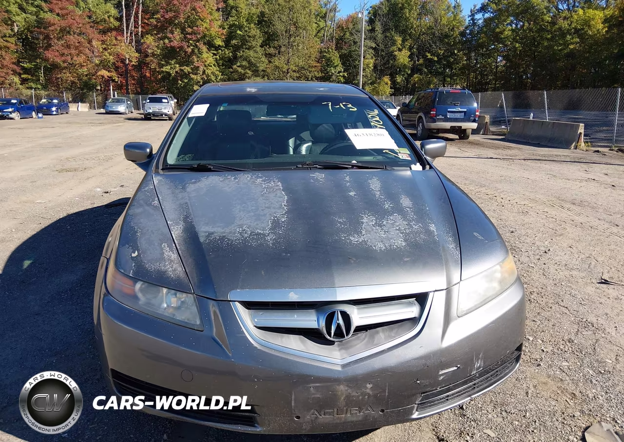 2004 Acura Tl VIN:19UUA66294A071953 - 6