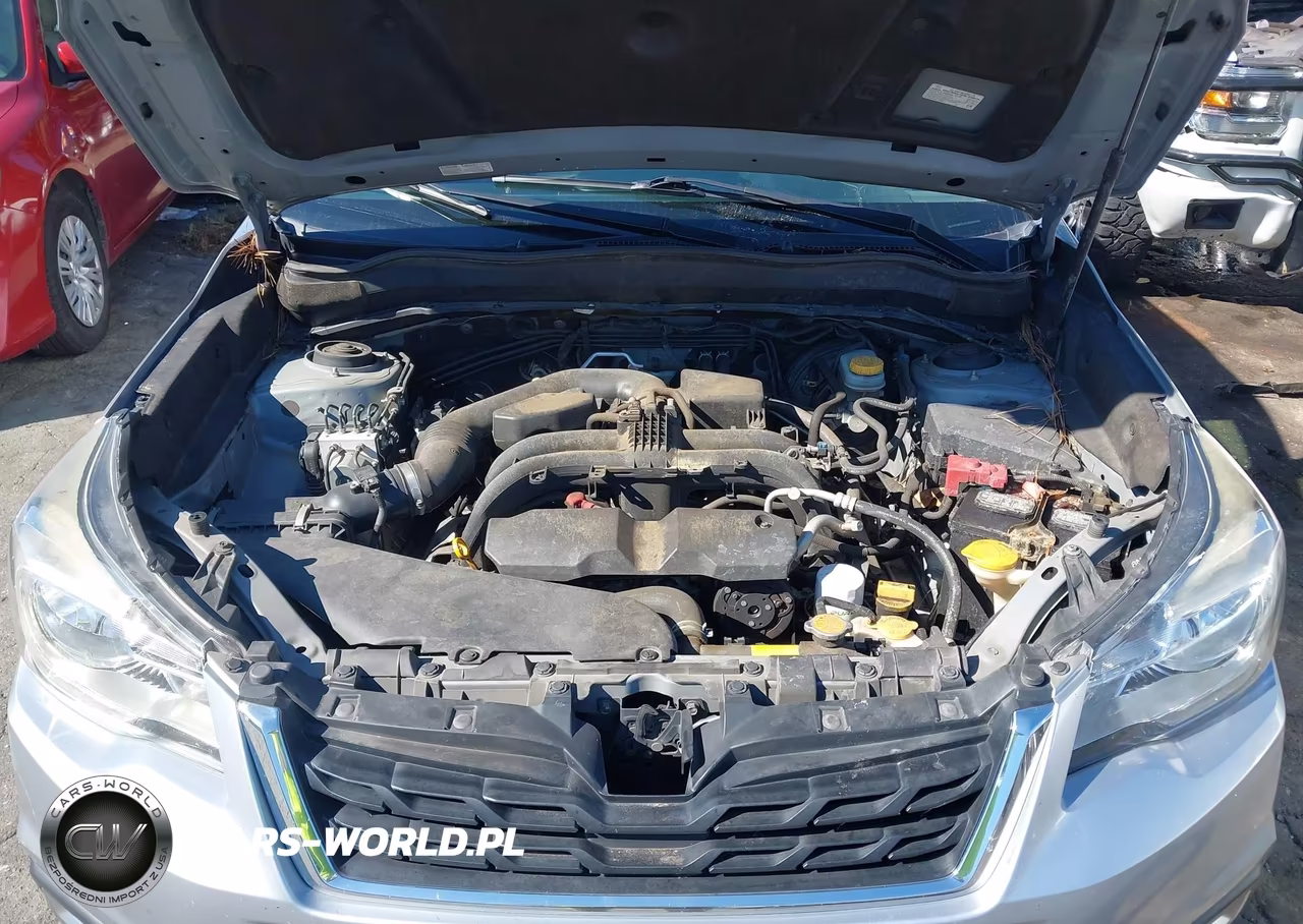 2017 Subaru Forester 2.5I Premium VIN:JF2SJAEC7HH437216 - 10
