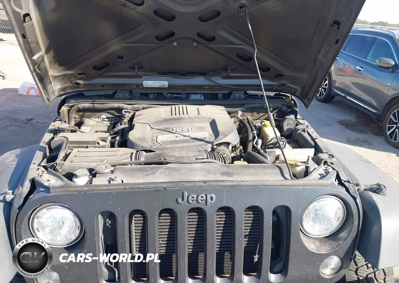 2017 Jeep Wrangler Unlimited Big Bear 4X4 VIN:1C4BJWDGXHL603290 - 10