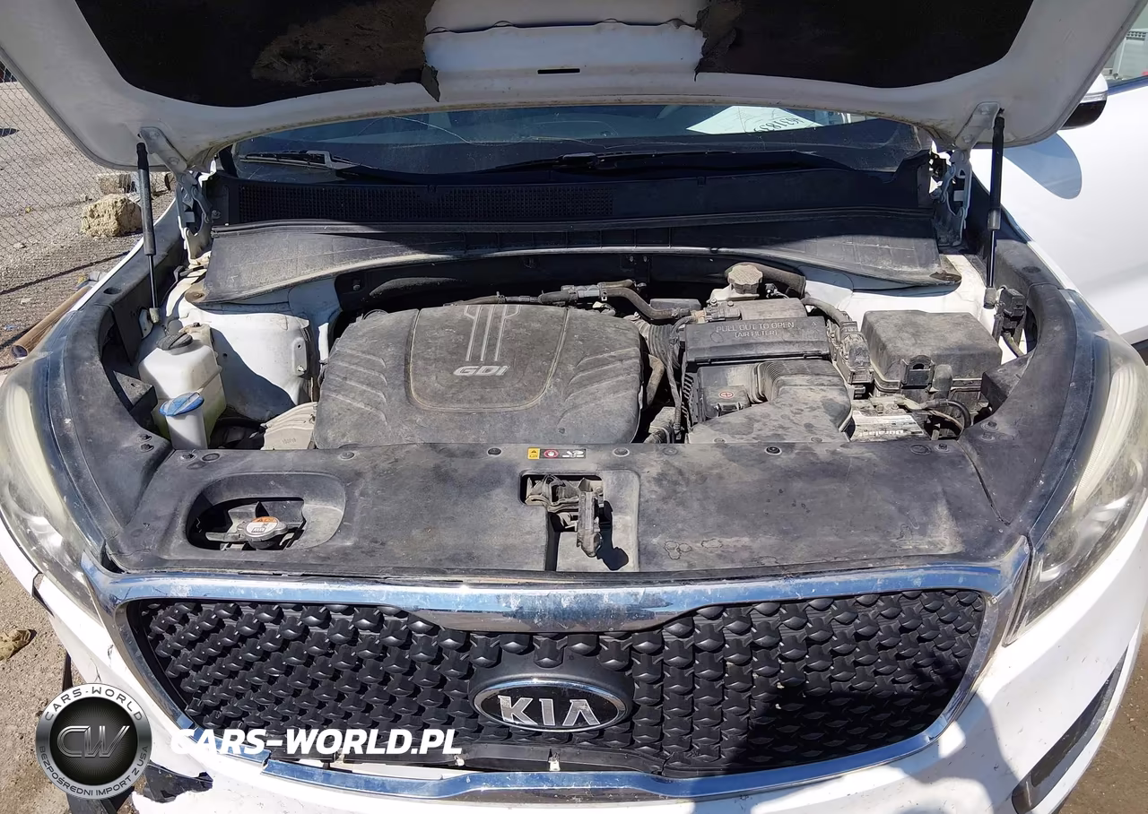 2016 Kia Sorento 3.3L Lx VIN:5XYPGDA54GG135711 - 10