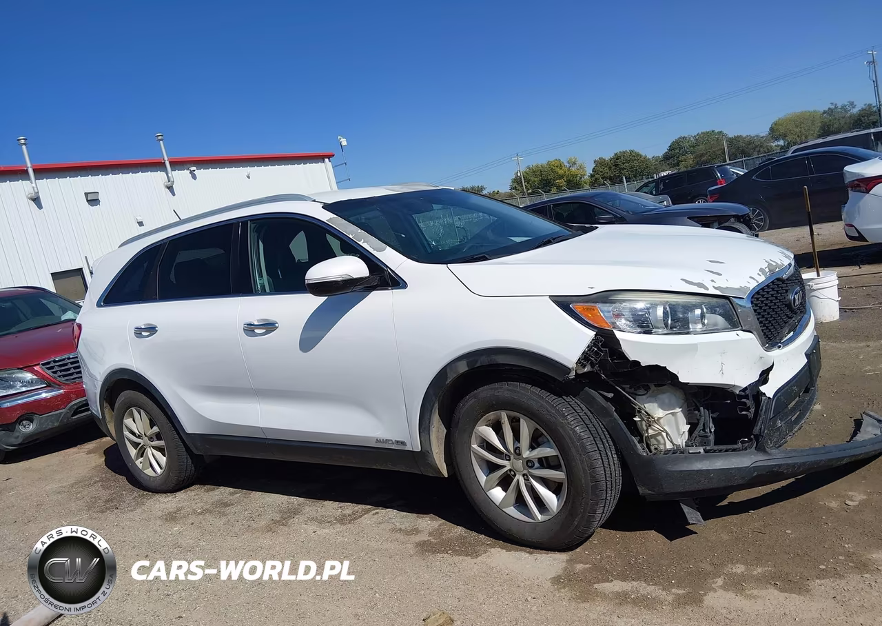 2016 Kia Sorento 3.3L Lx VIN:5XYPGDA54GG135711 - 13