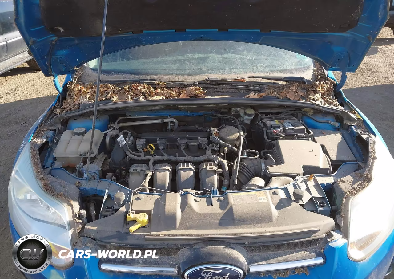 2012 Ford Focus Sel VIN:1FAHP3H25CL431321 - 10