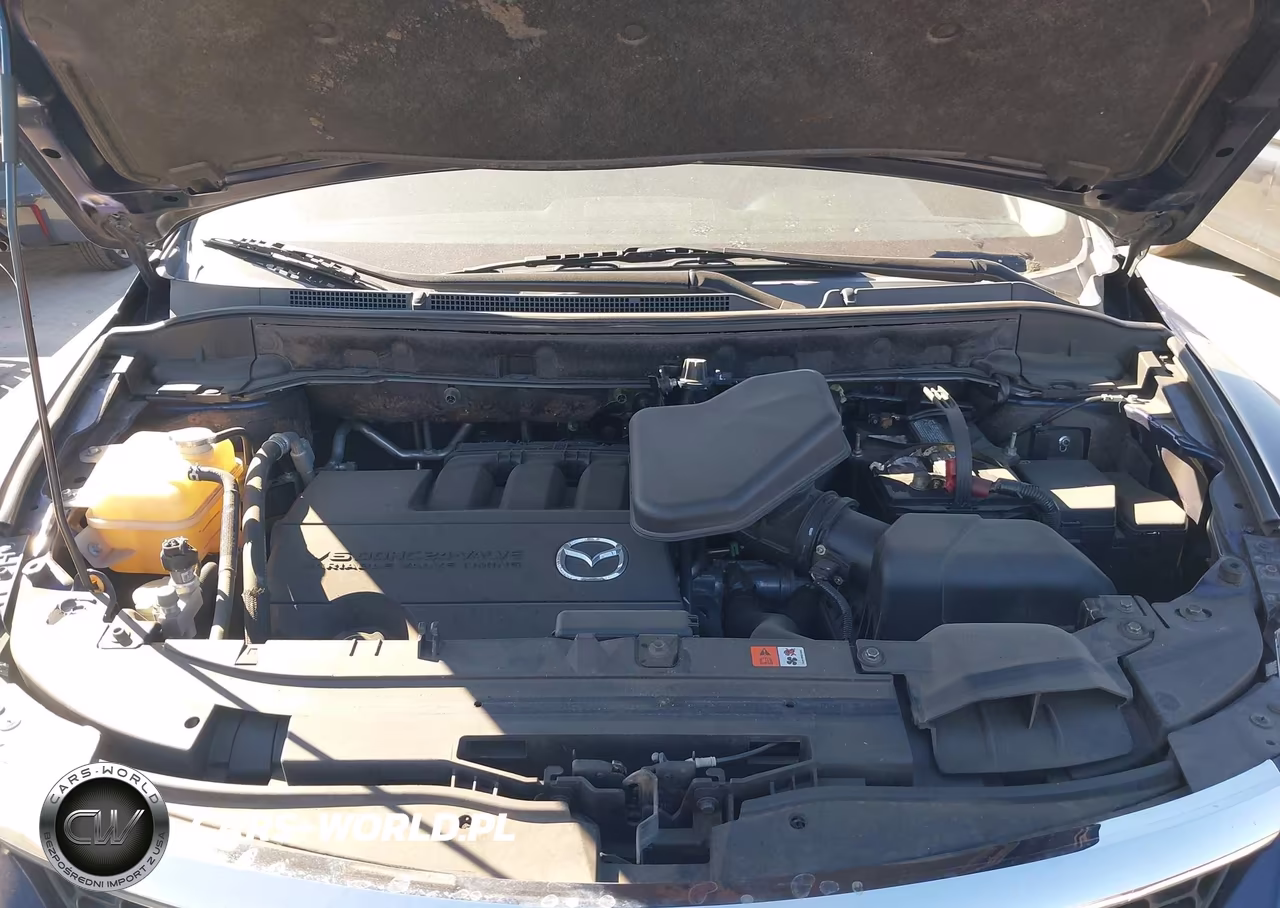 2009 Mazda Cx-9 Touring VIN:JM3TB28V990180098 - 10