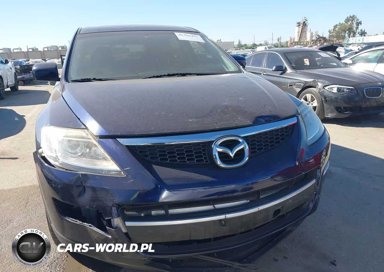 2009 Mazda Cx-9 Touring VIN:JM3TB28V990180098 - 12