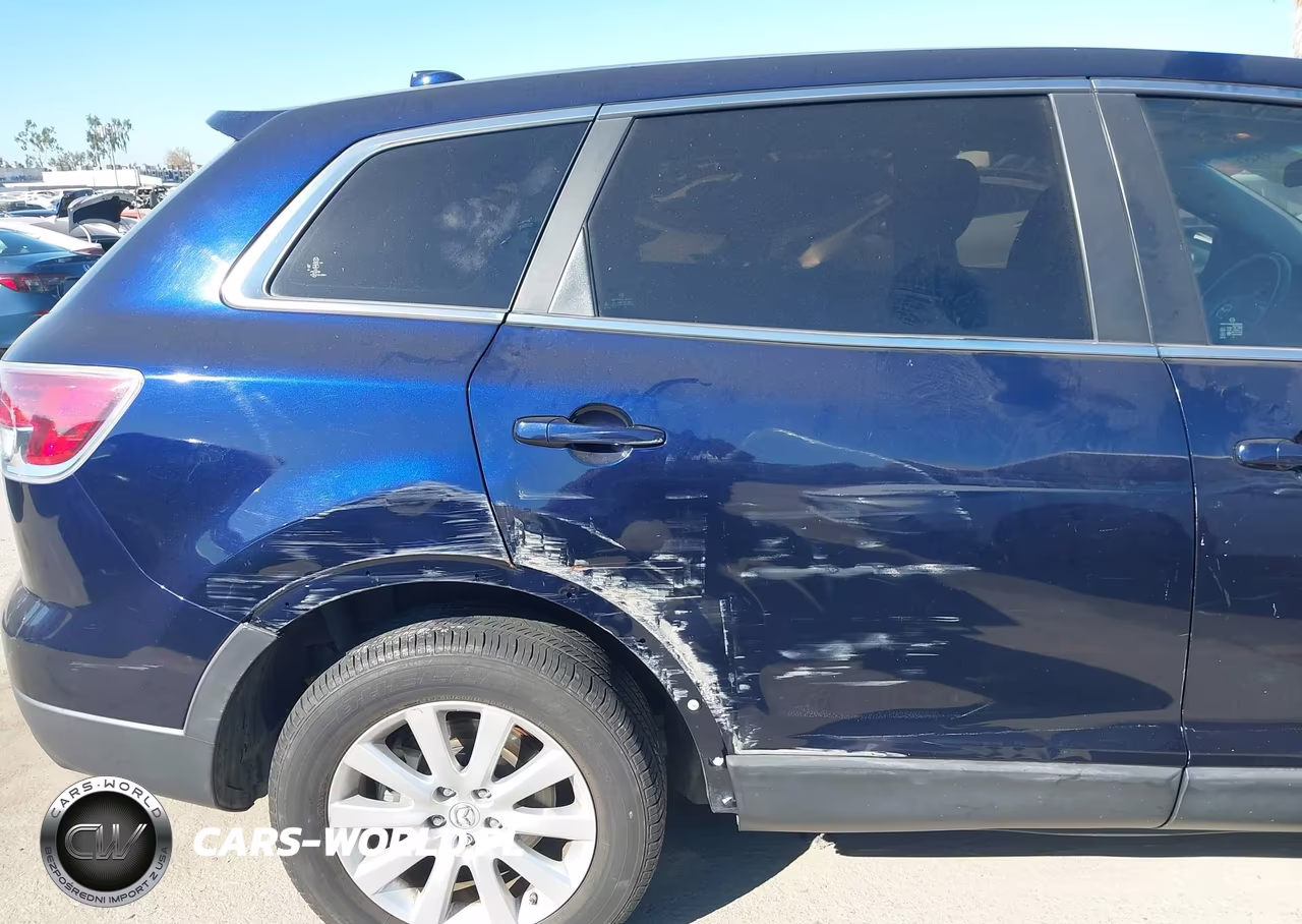 2009 Mazda Cx-9 Touring VIN:JM3TB28V990180098 - 6