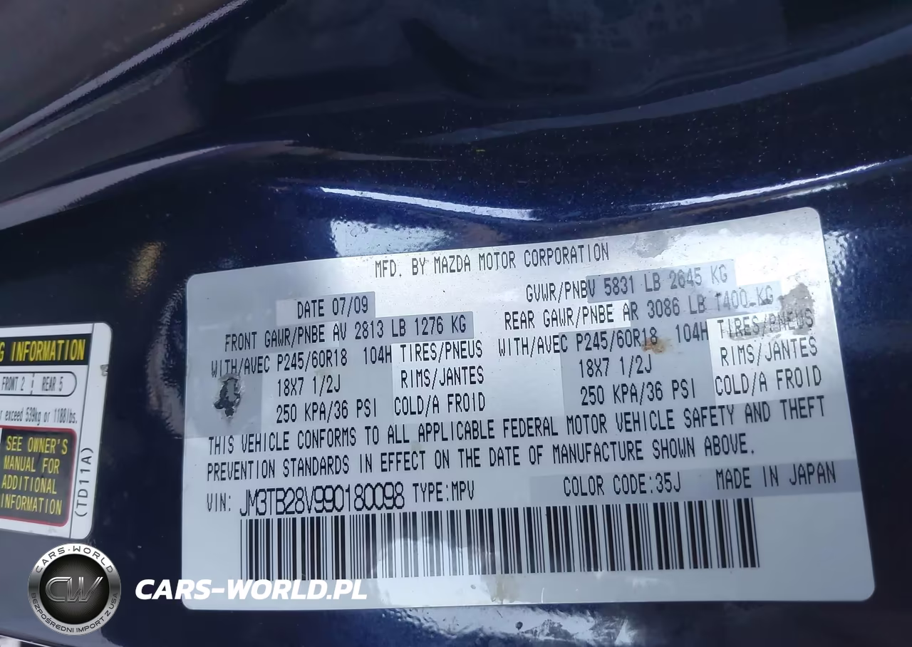 2009 Mazda Cx-9 Touring VIN:JM3TB28V990180098 - 9