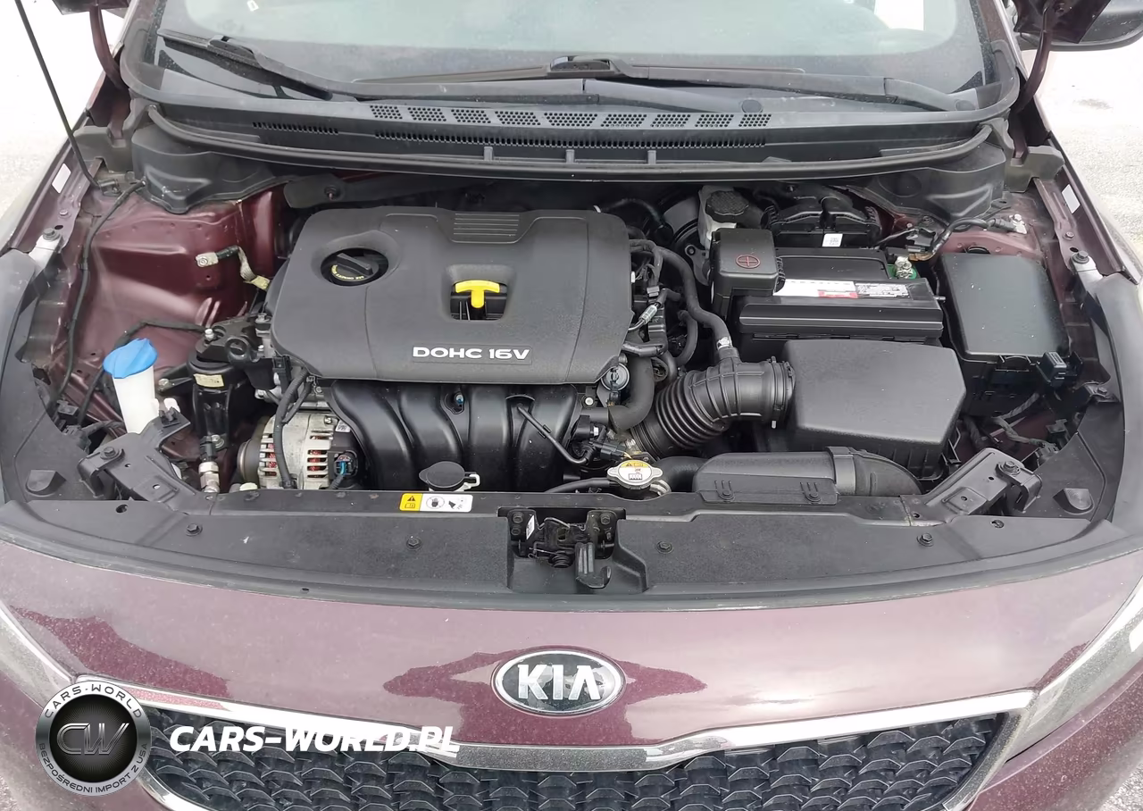2017 Kia Forte Lx VIN:3KPFK4A72HE090164 - 10