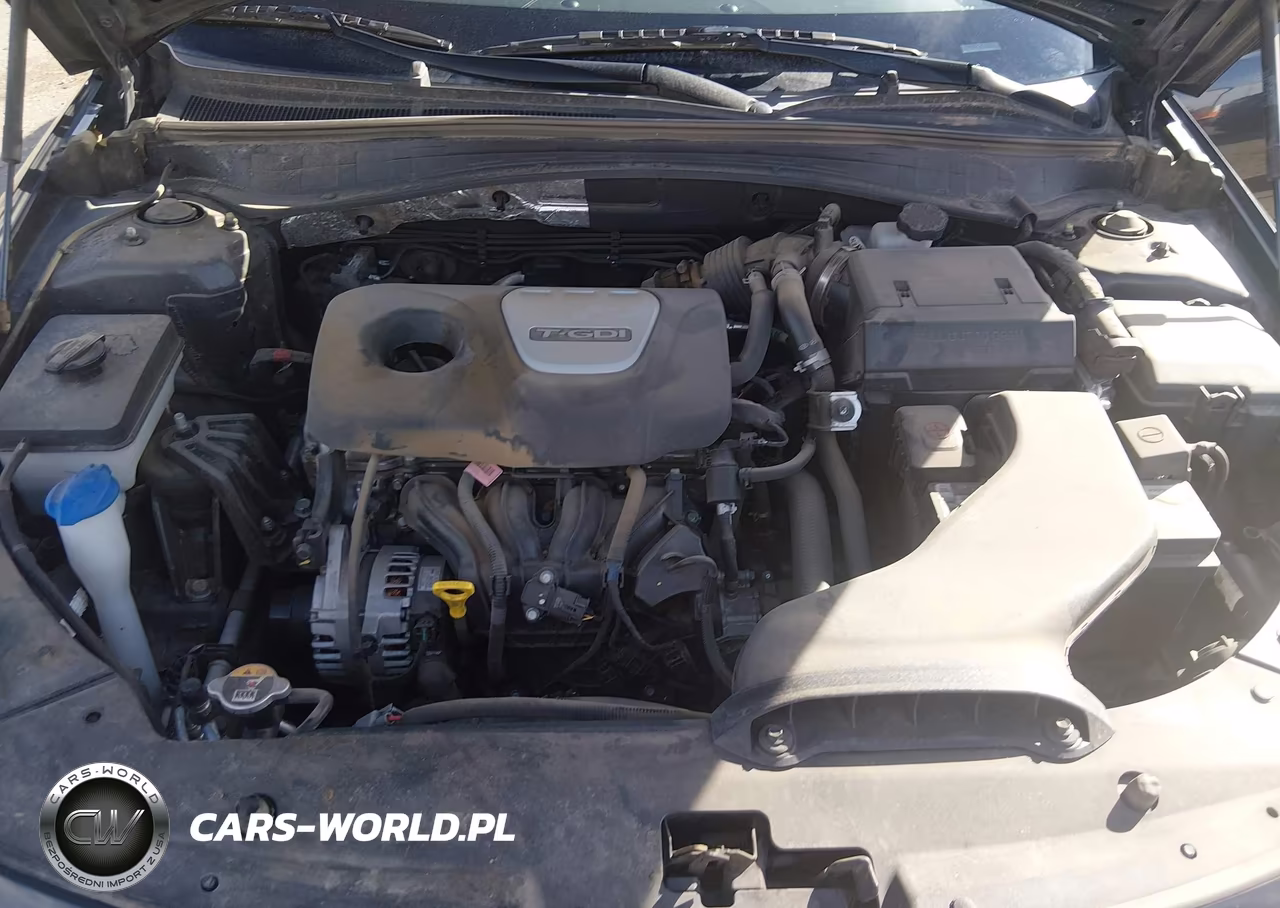 2019 Kia Optima Ex VIN:5XXGU4L17KG326166 - 10