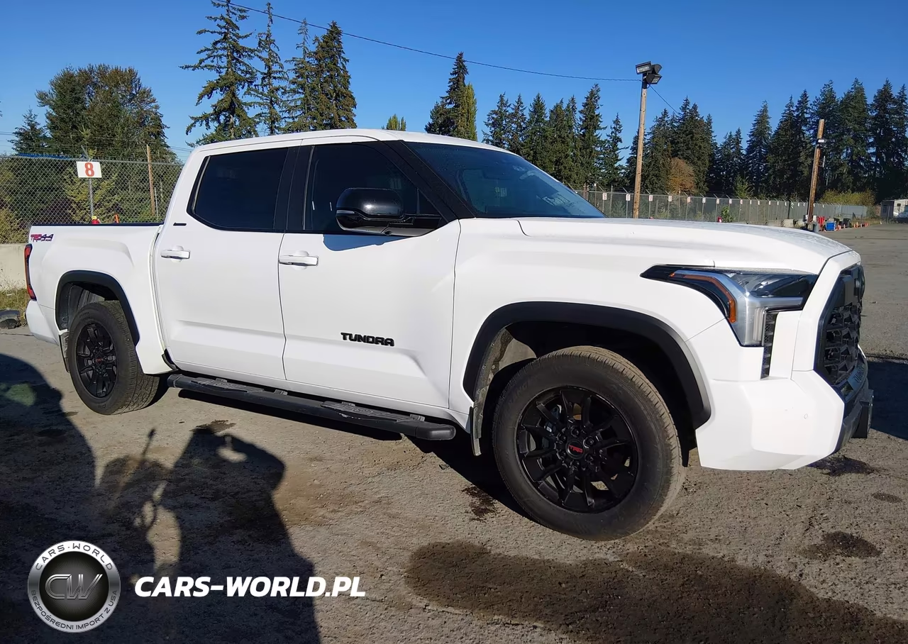 2024 Toyota Tundra Limited VIN:5TFWA5DB2RX175905 - 13