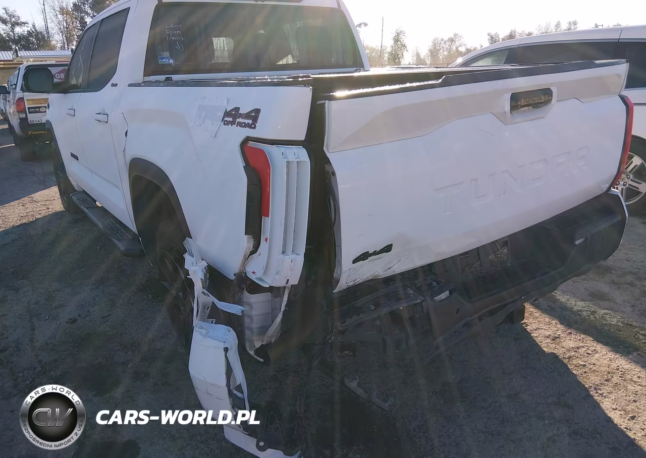 2024 Toyota Tundra Limited VIN:5TFWA5DB2RX175905 - 6