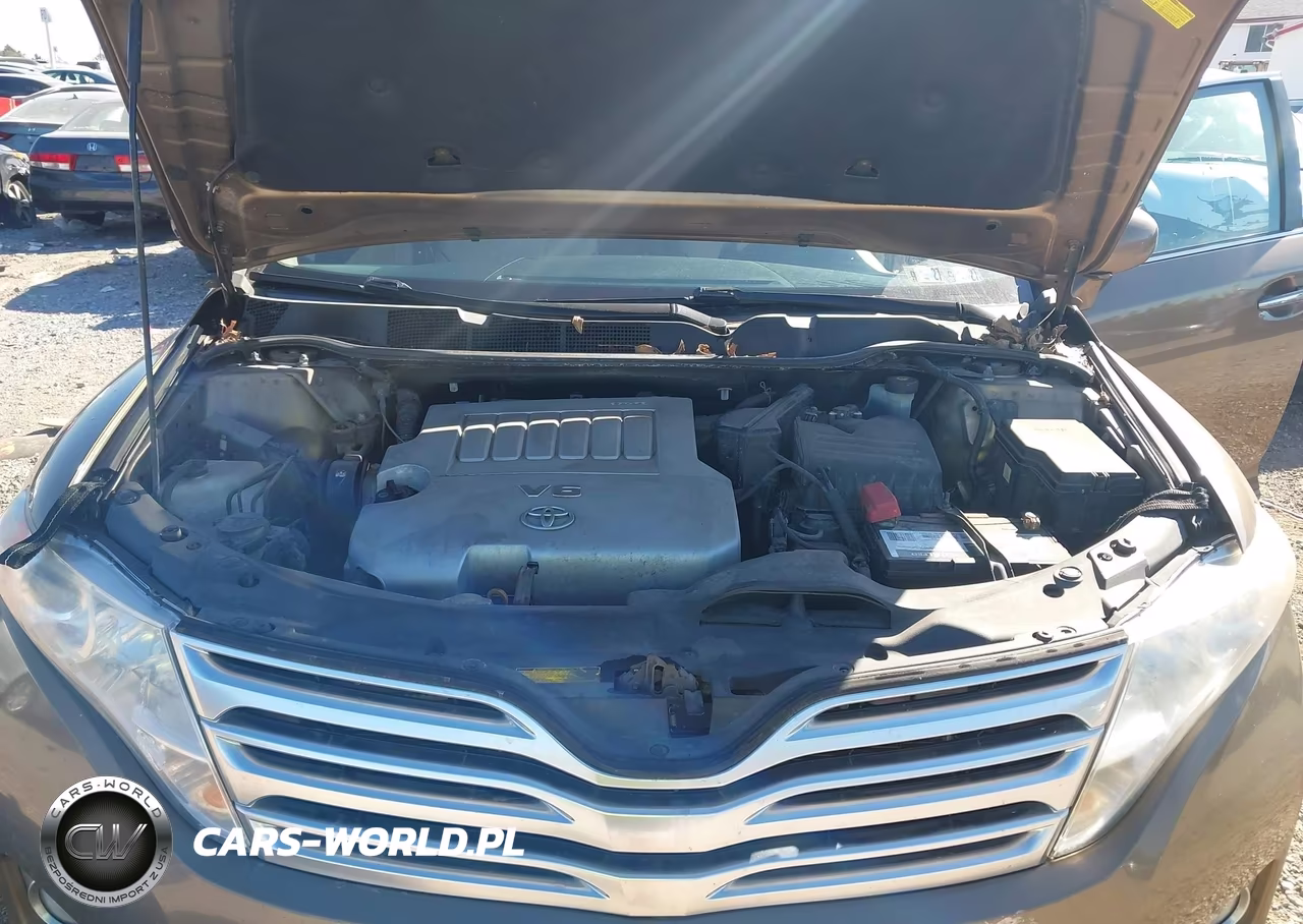 2009 Toyota Venza Base V6 VIN:4T3BK11AX9U007577 - 10