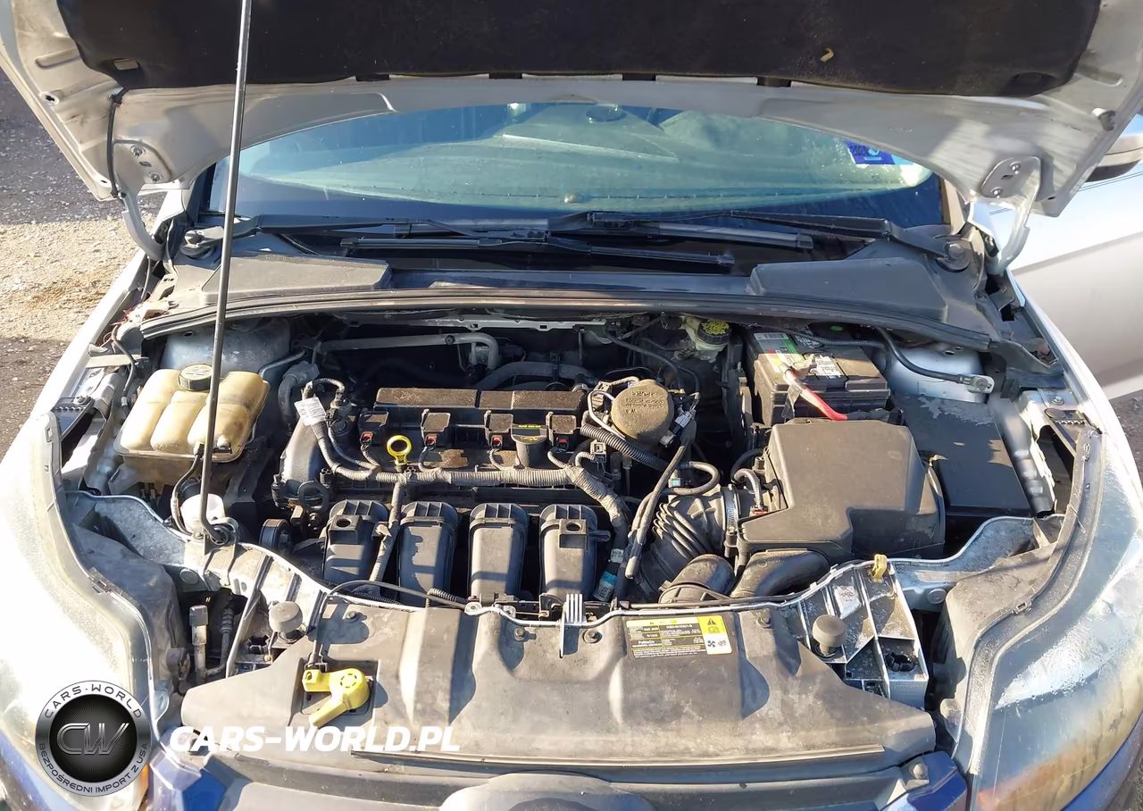 2013 Ford Focus Titanium VIN:1FADP3N20DL193799 - 10