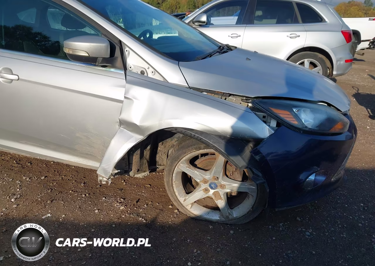 2013 Ford Focus Titanium VIN:1FADP3N20DL193799 - 6