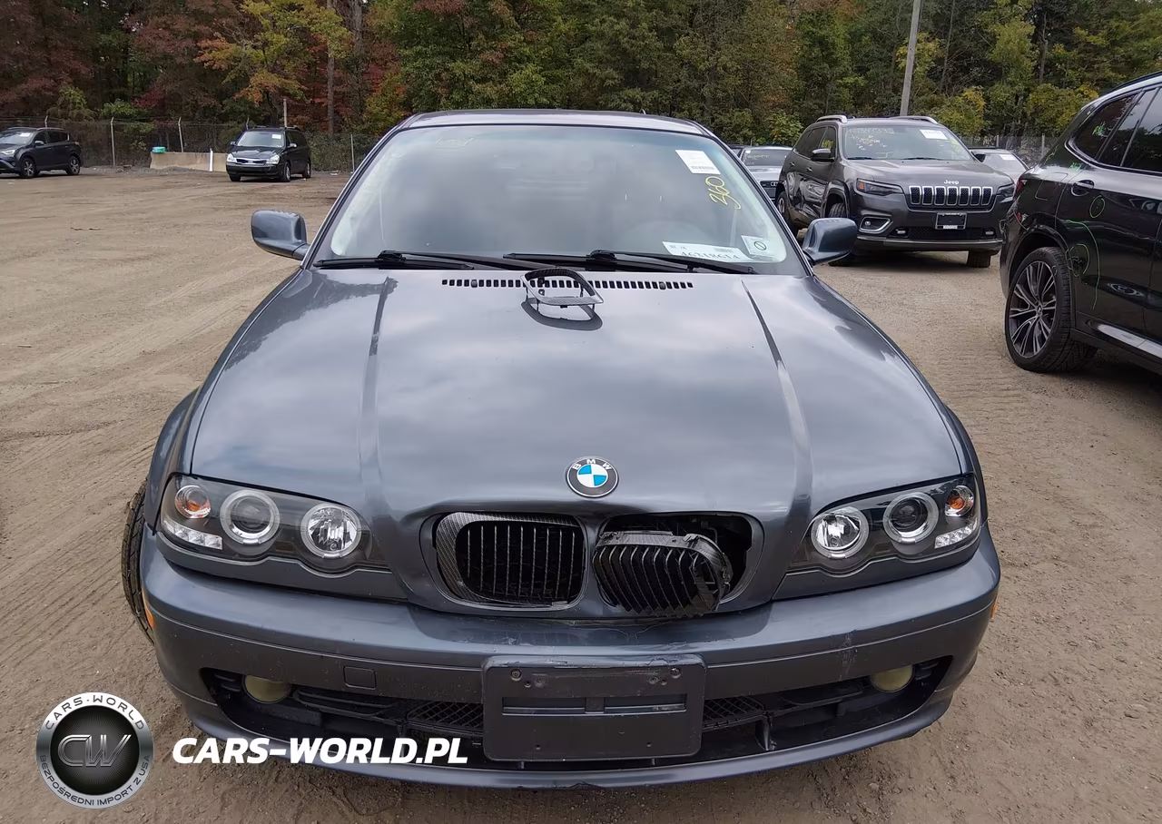 2002 BMW 325Ci VIN:WBABN33402PG56543 - 10