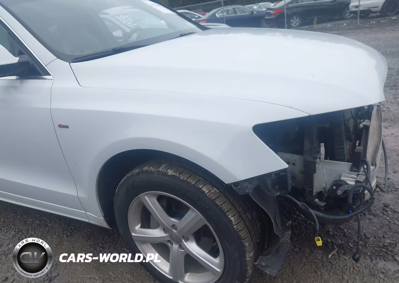 2017 Audi Q5 2.0T Premium VIN:WA1M2AFP0HA072757 - 17