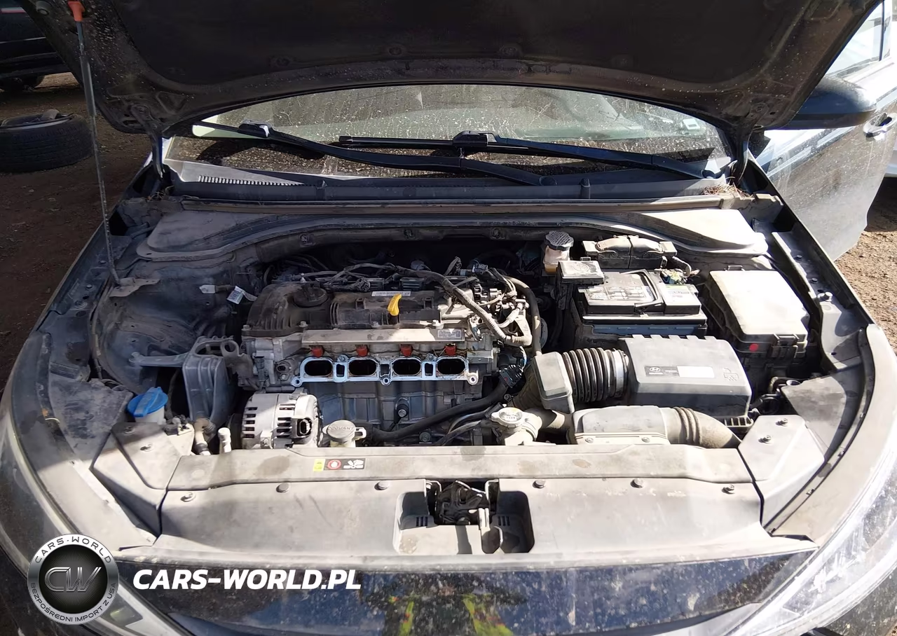 2019 Hyundai Elantra Sel VIN:5NPD84LF1KH415982 - 10