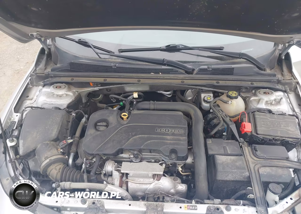 2019 Chevrolet Malibu Lt VIN:1G1ZD5STXKF194254 - 10