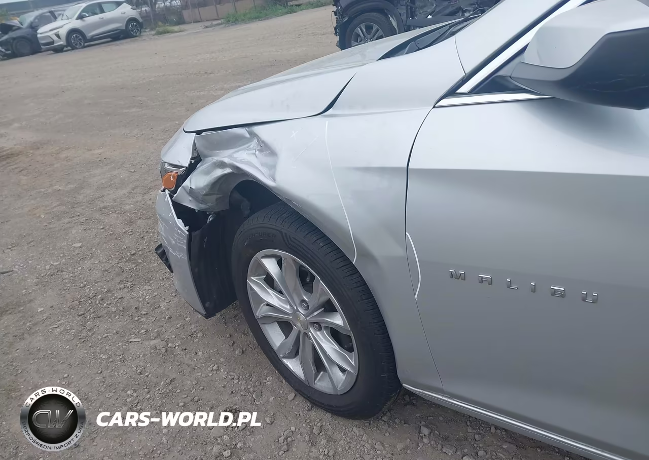 2019 Chevrolet Malibu Lt VIN:1G1ZD5STXKF194254 - 17