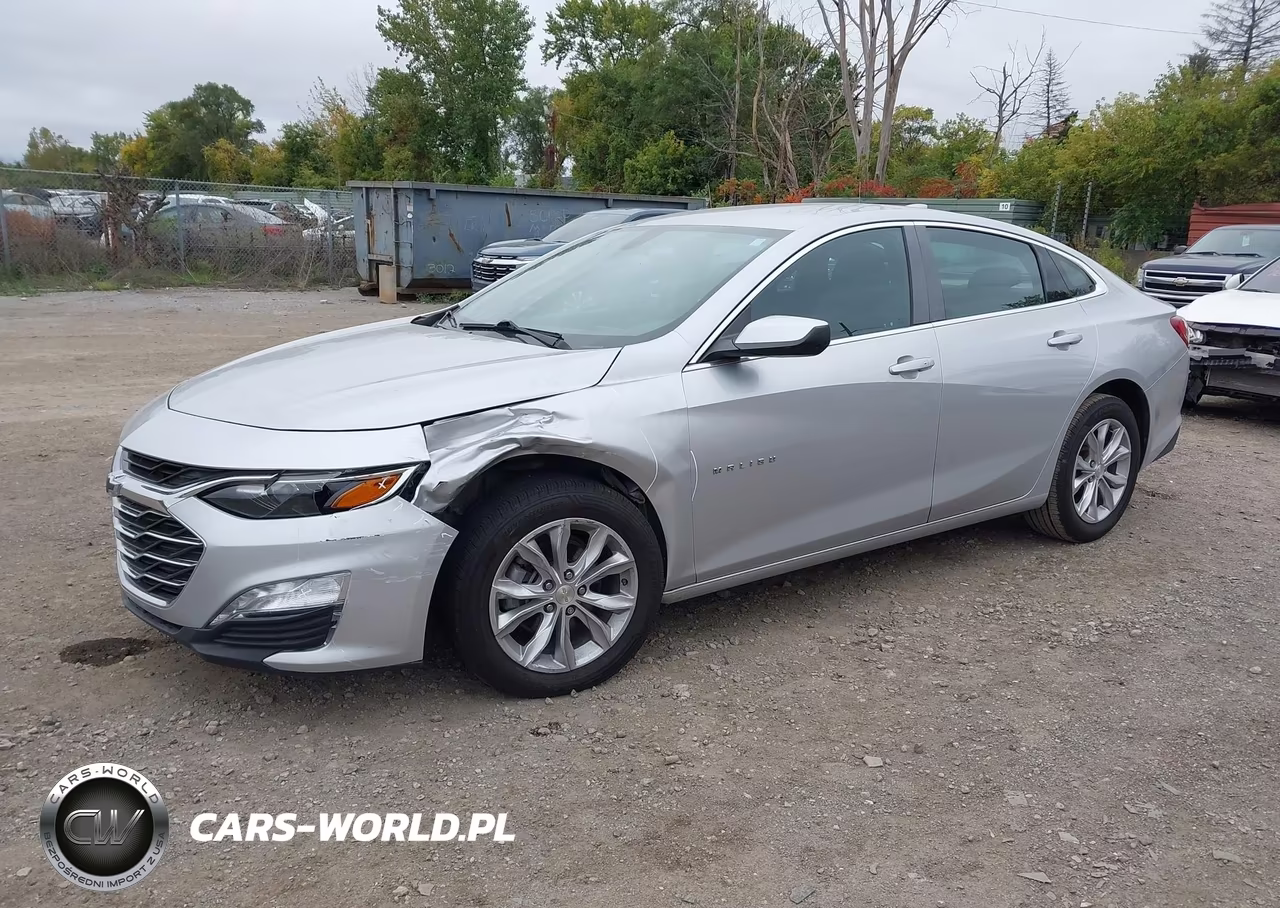 2019 Chevrolet Malibu Lt VIN:1G1ZD5STXKF194254 - 2