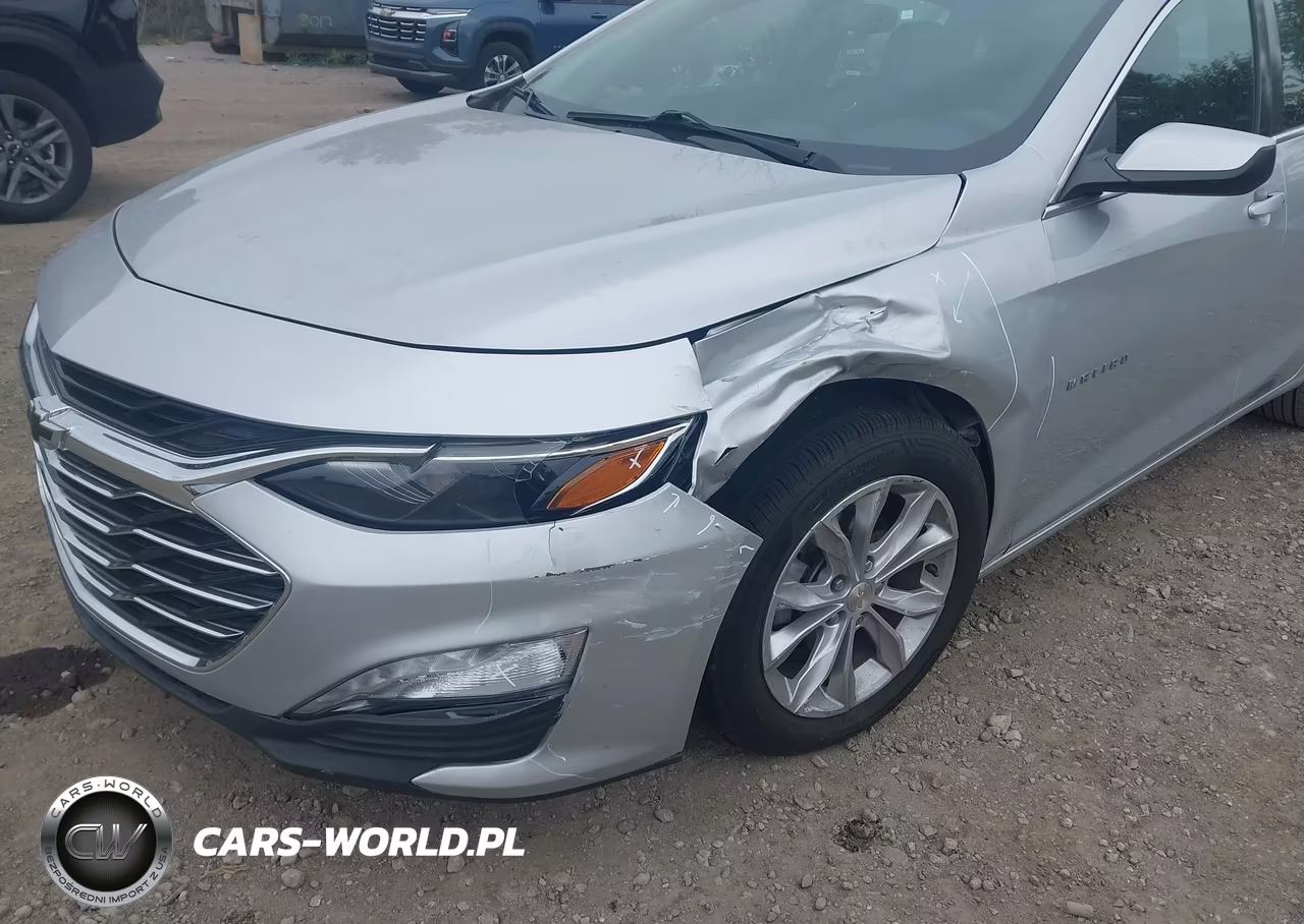 2019 Chevrolet Malibu Lt VIN:1G1ZD5STXKF194254 - 6