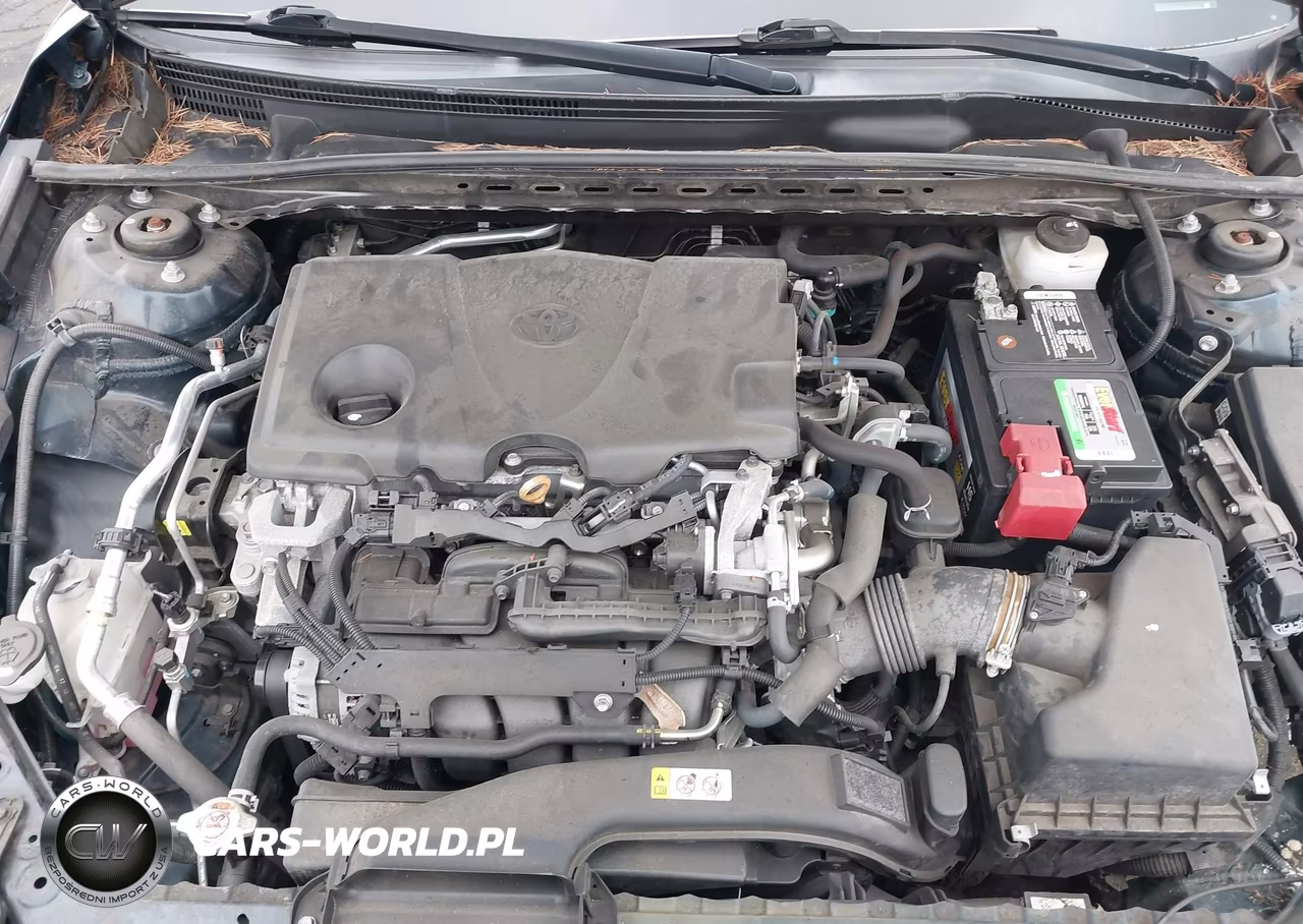 2019 Toyota Camry Le VIN:4T1B11HKXKU249303 - 10