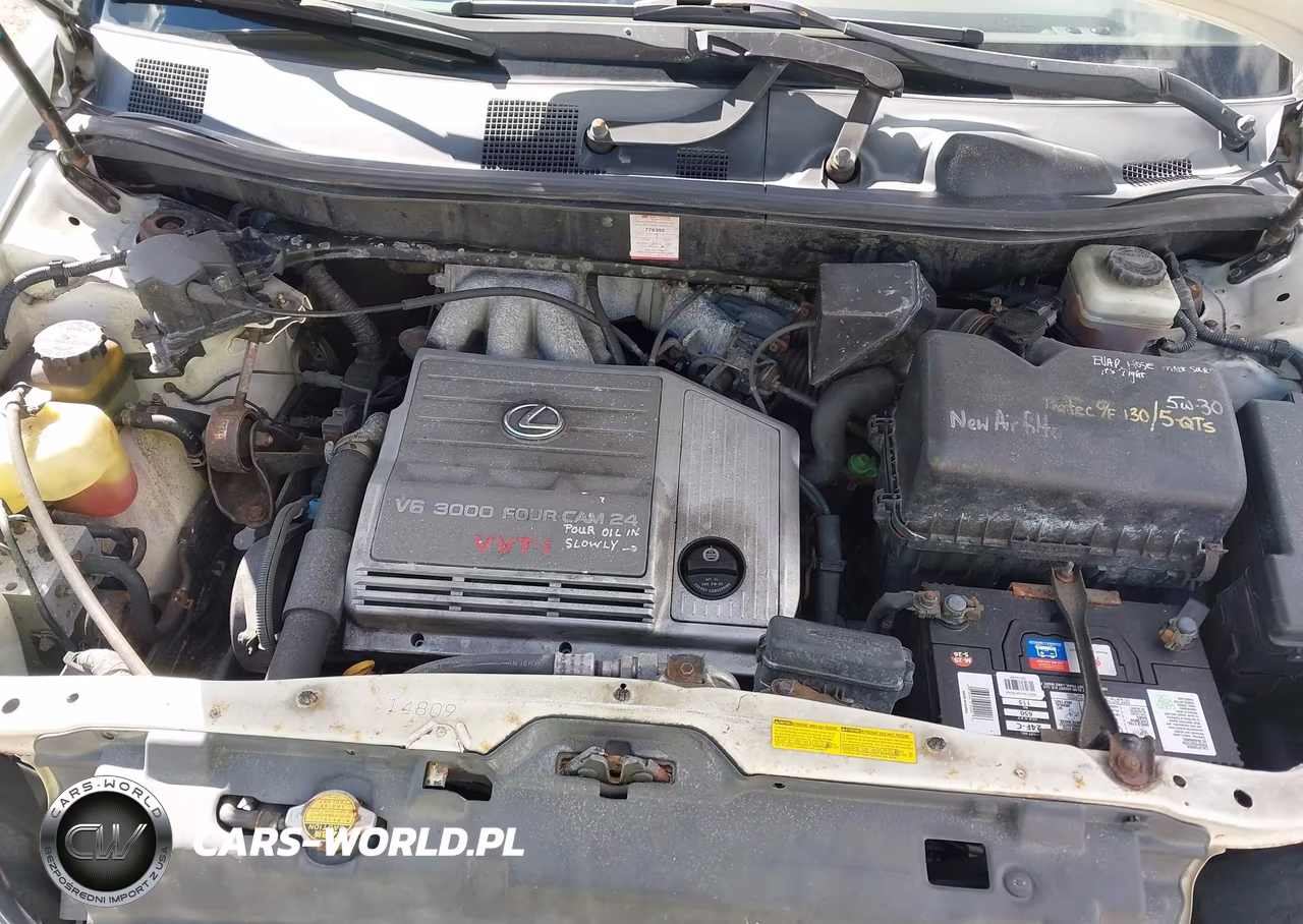 2002 Lexus Rx 300 VIN:JTJGF10U420141918 - 10