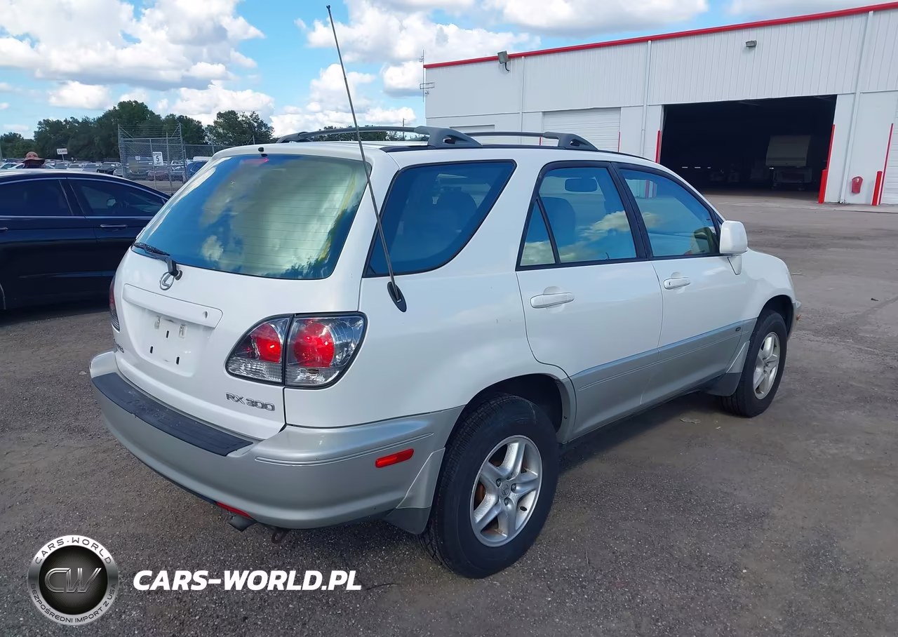 2002 Lexus Rx 300 VIN:JTJGF10U420141918 - 4