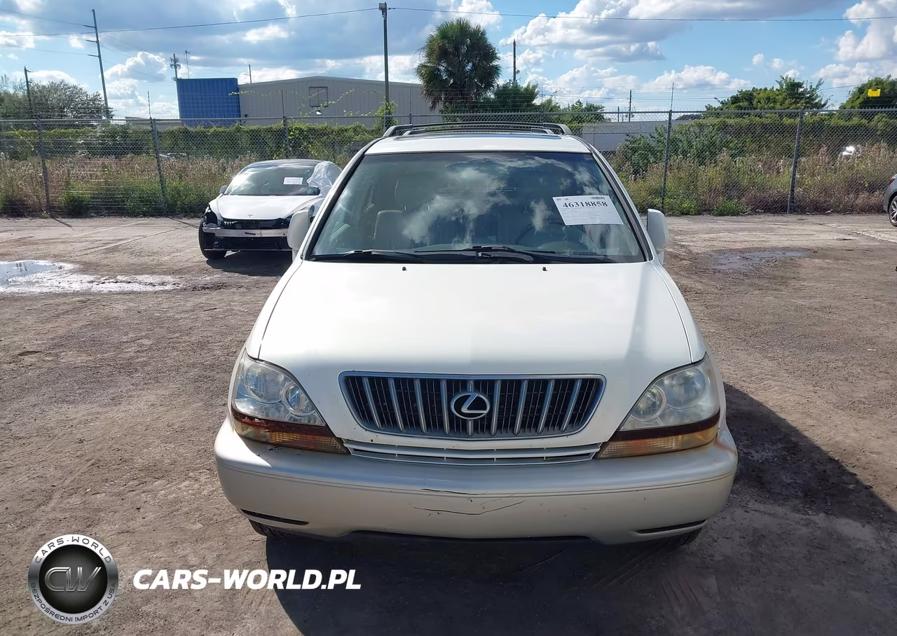 2002 Lexus Rx 300 VIN:JTJGF10U420141918 - 6