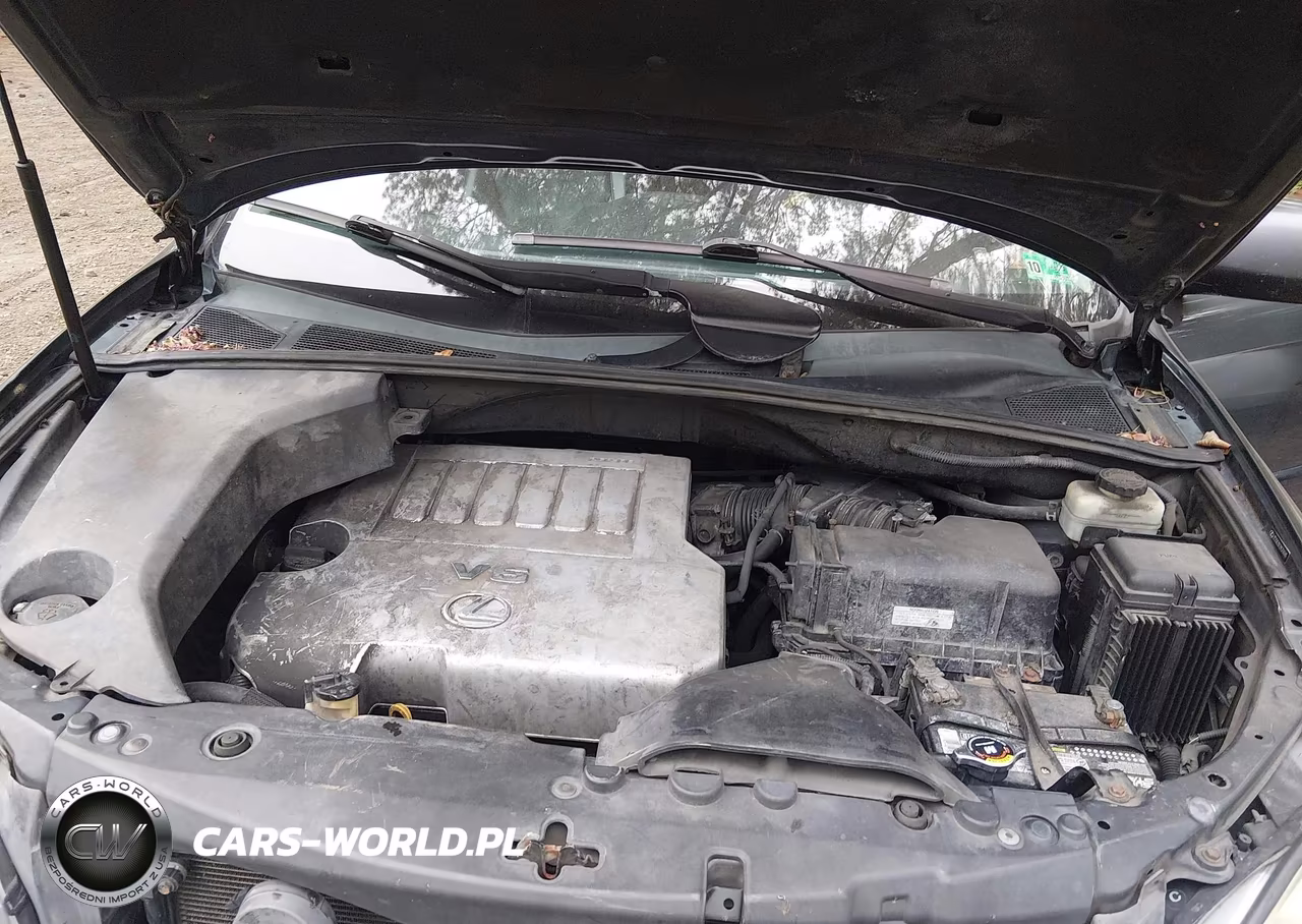 2009 Lexus Rx 350 VIN:2T2GK31U29C436505 - 10