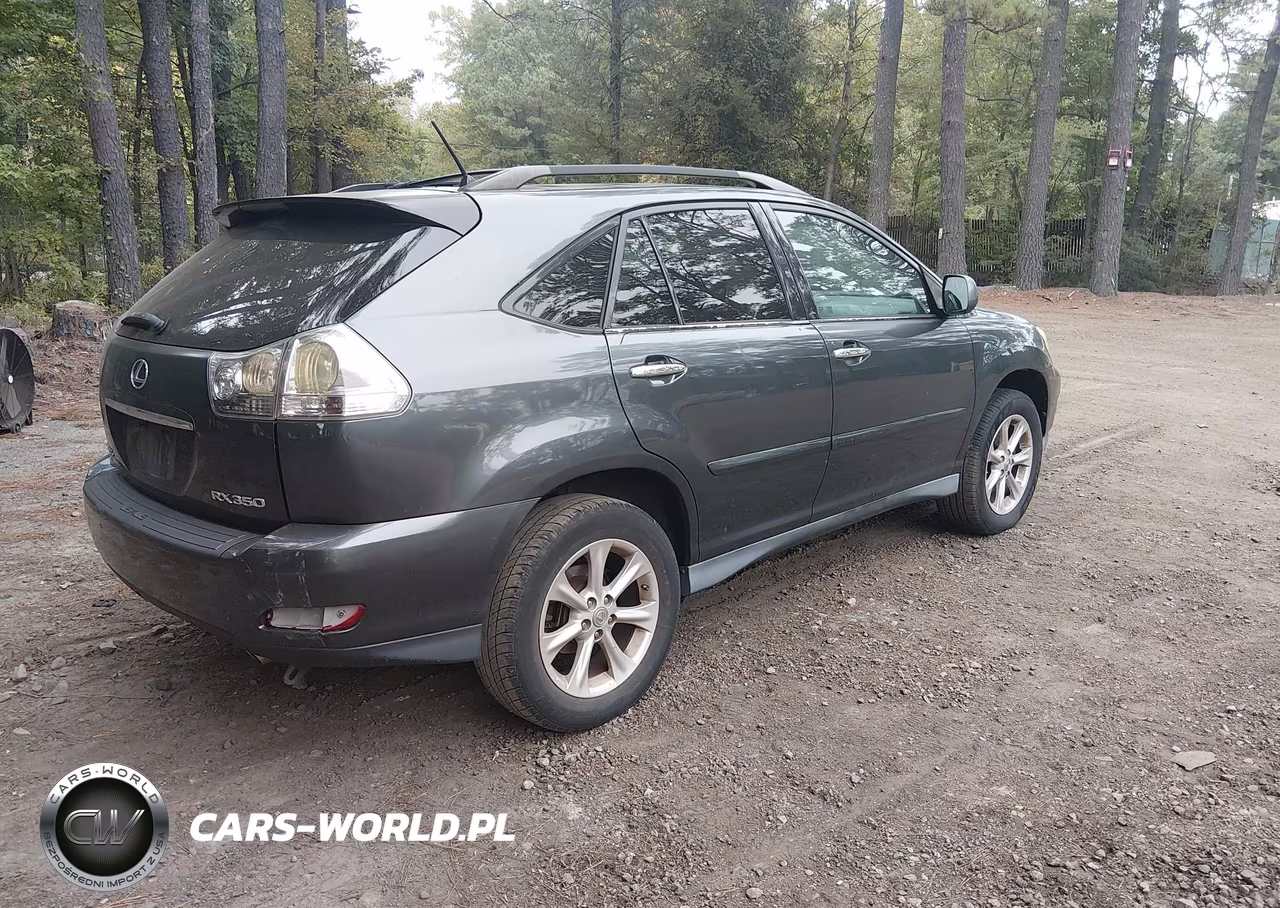 2009 Lexus Rx 350 VIN:2T2GK31U29C436505 - 4