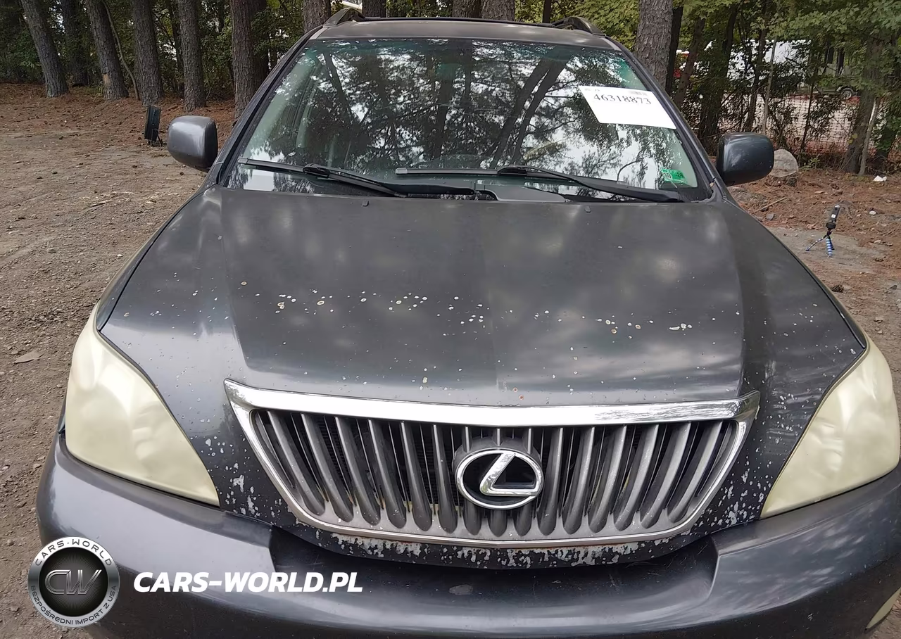 2009 Lexus Rx 350 VIN:2T2GK31U29C436505 - 6