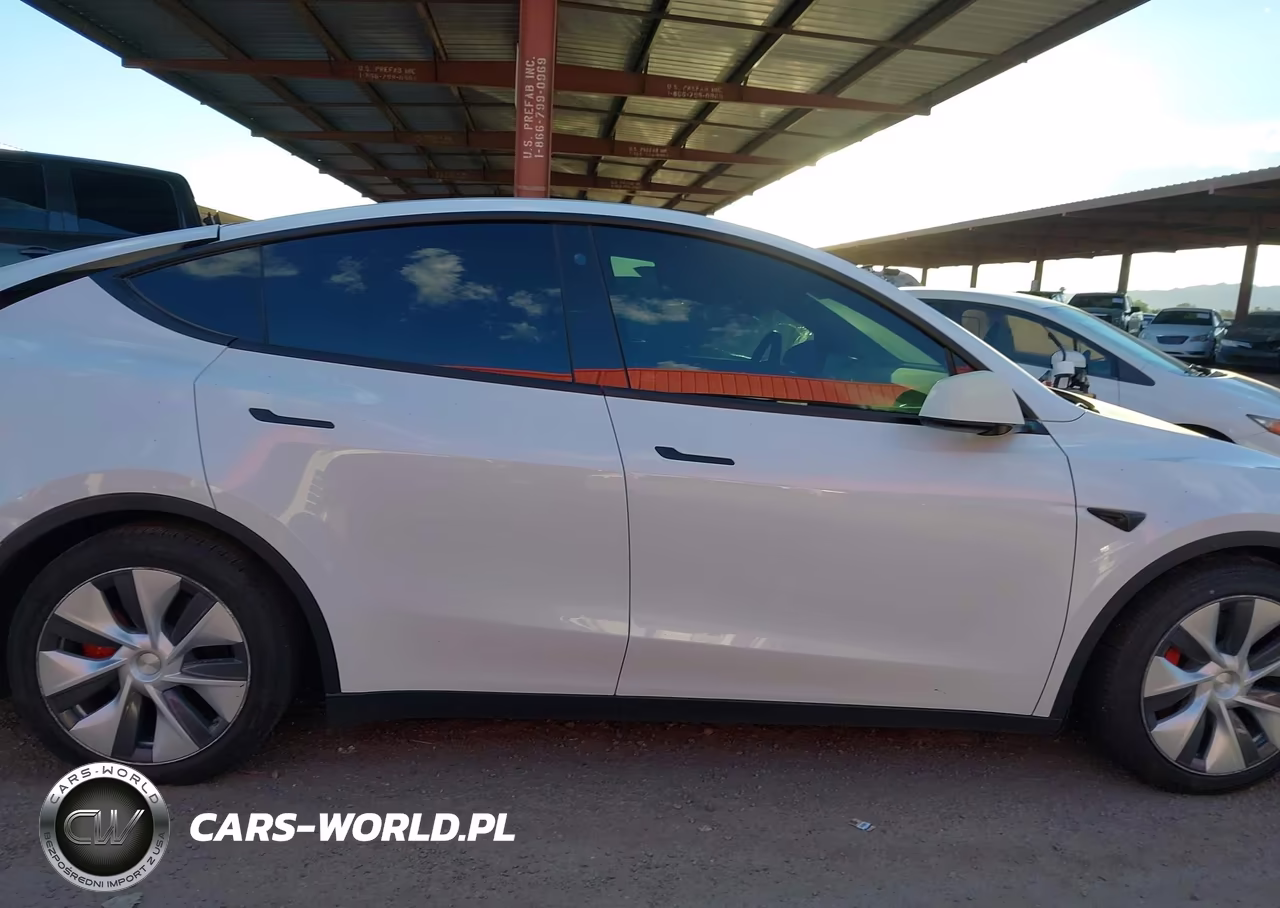 2022 Tesla Model Y Performance Dual Motor All-Wheel Drive VIN:7SAYGDEF4NF347314 - 12