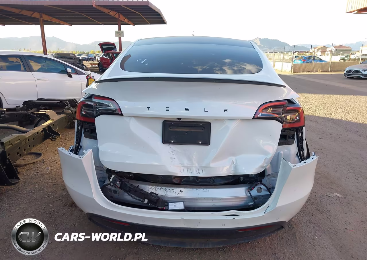 2022 Tesla Model Y Performance Dual Motor All-Wheel Drive VIN:7SAYGDEF4NF347314 - 6