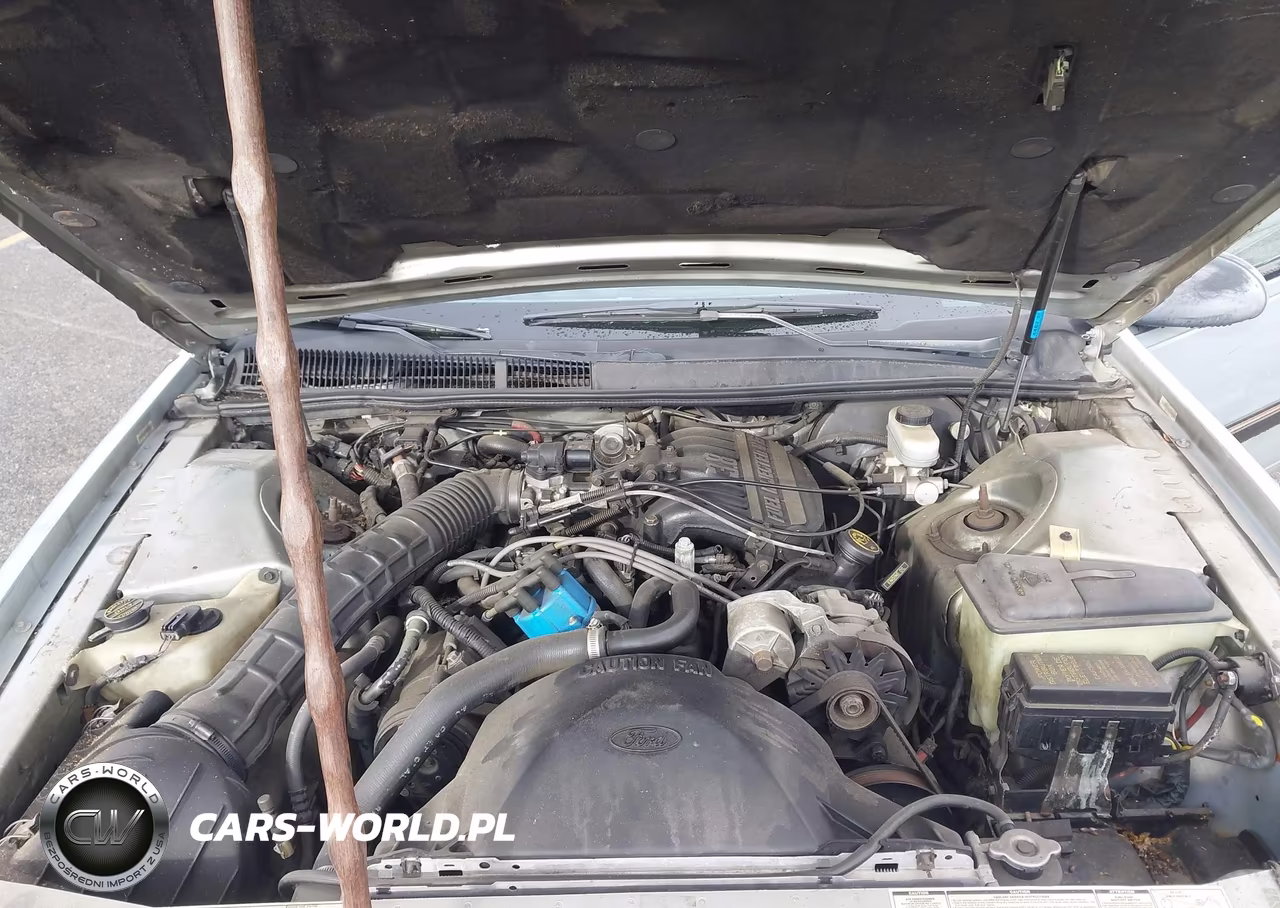 1989 Ford Thunderbird VIN:1FAPP6045KH121715 - 10