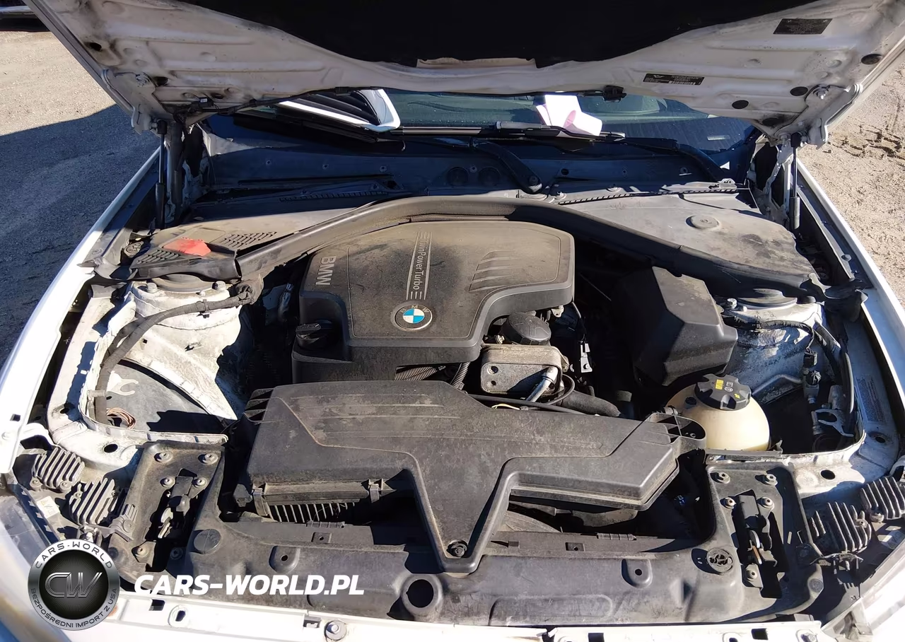 2015 BMW 228I VIN:WBA1F5C54FV256514 - 10