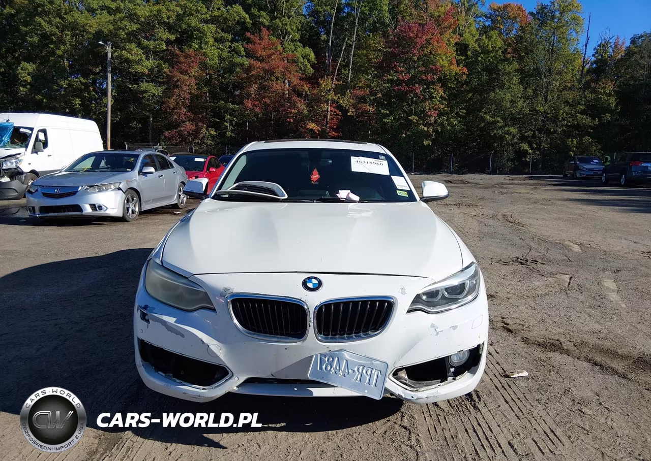 2015 BMW 228I VIN:WBA1F5C54FV256514 - 11