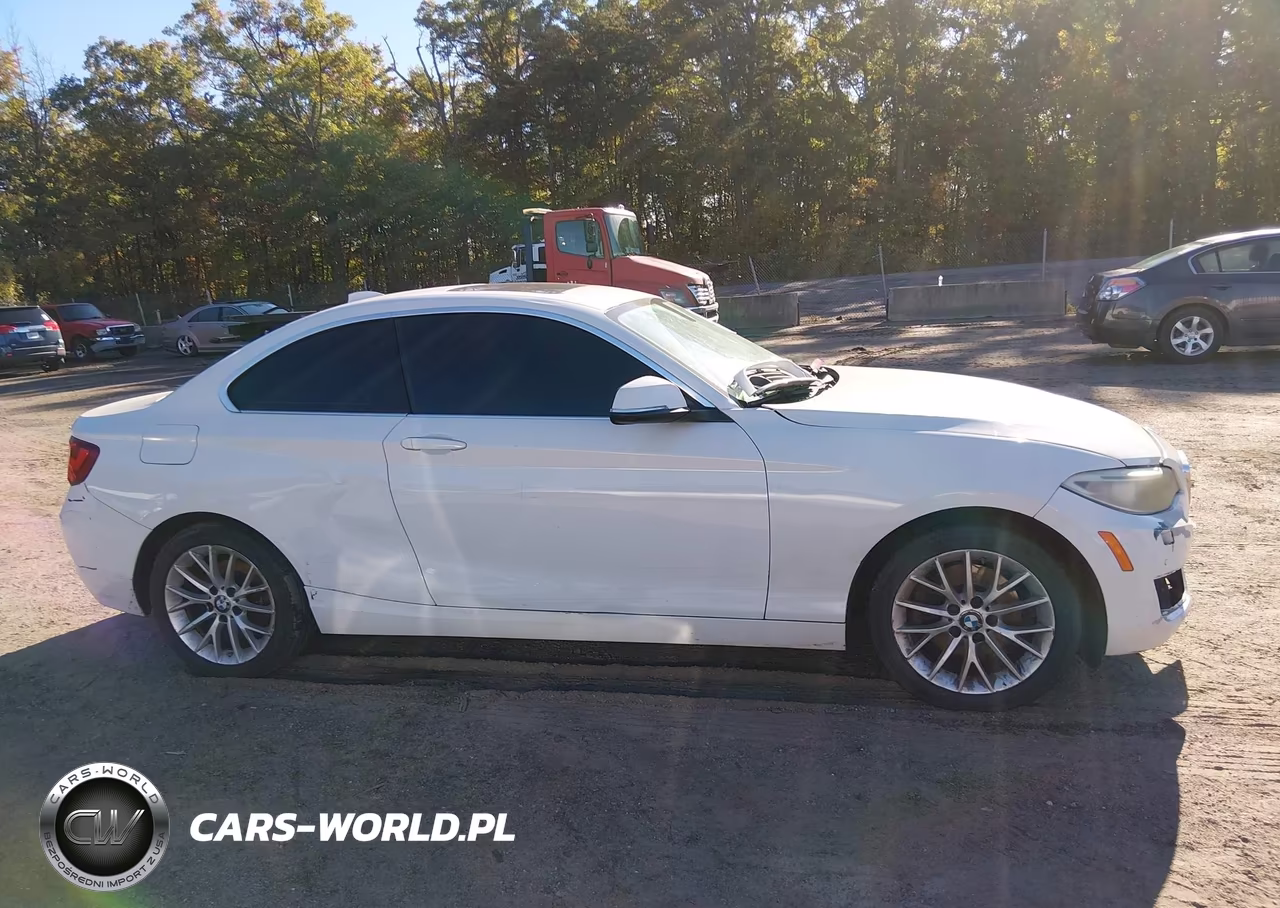 2015 BMW 228I VIN:WBA1F5C54FV256514 - 12