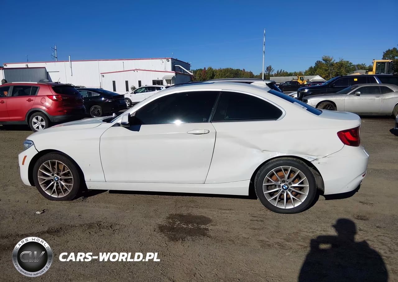 2015 BMW 228I VIN:WBA1F5C54FV256514 - 13